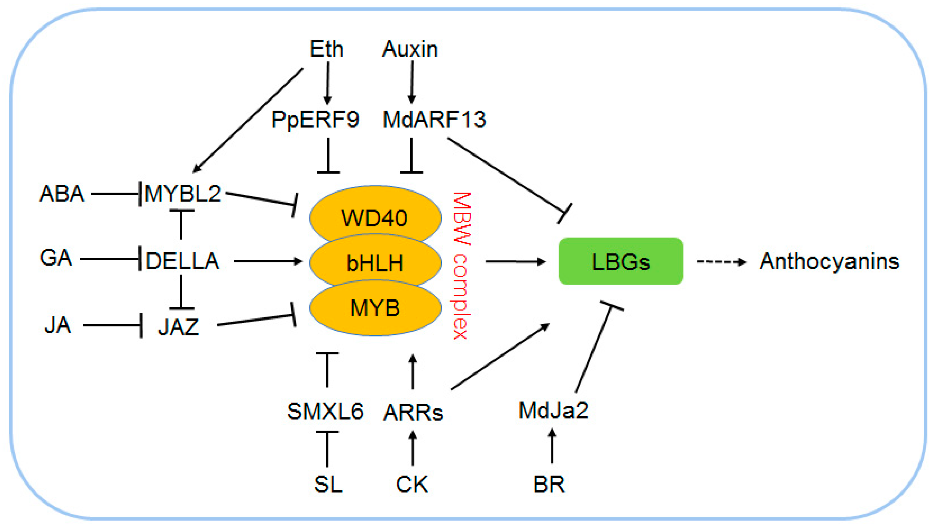 Ijms 24 16415 g003 Ijms 24 16415 g003