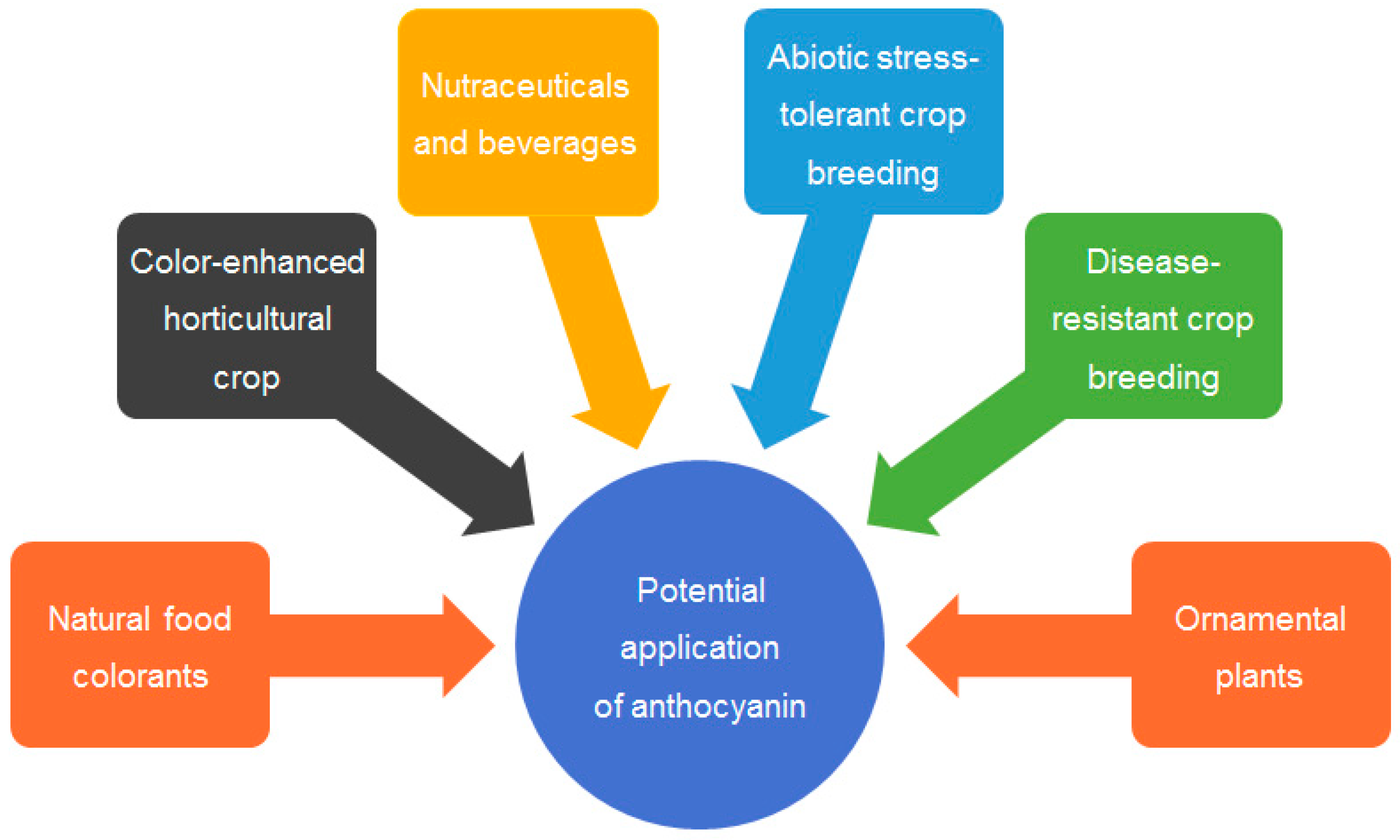 Ijms 24 16415 g004 Ijms 24 16415 g004