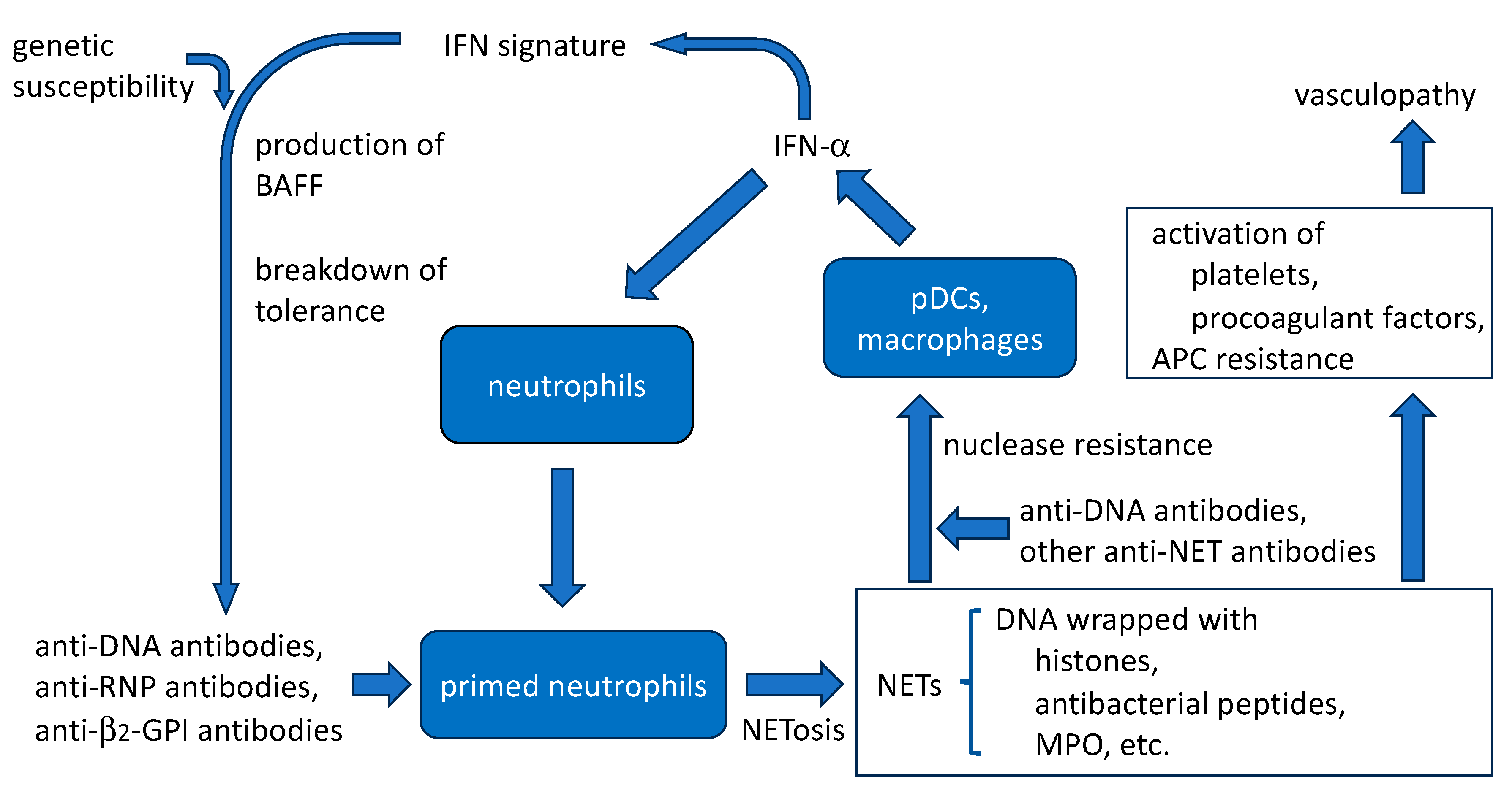 Ijms 24 16499 g002 Ijms 24 16499 g002