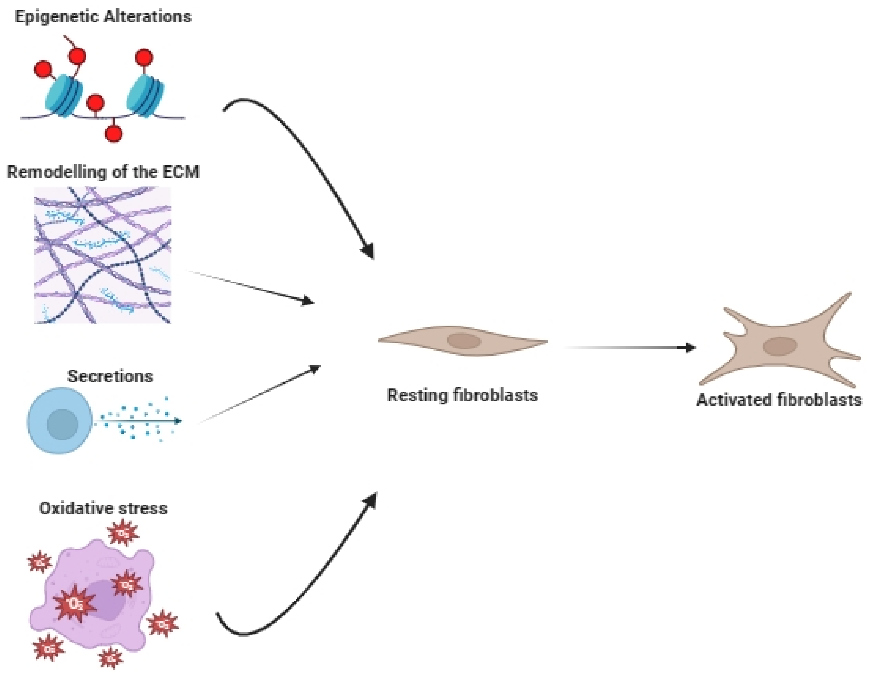 Ijms 24 16505 g002 Ijms 24 16505 g002