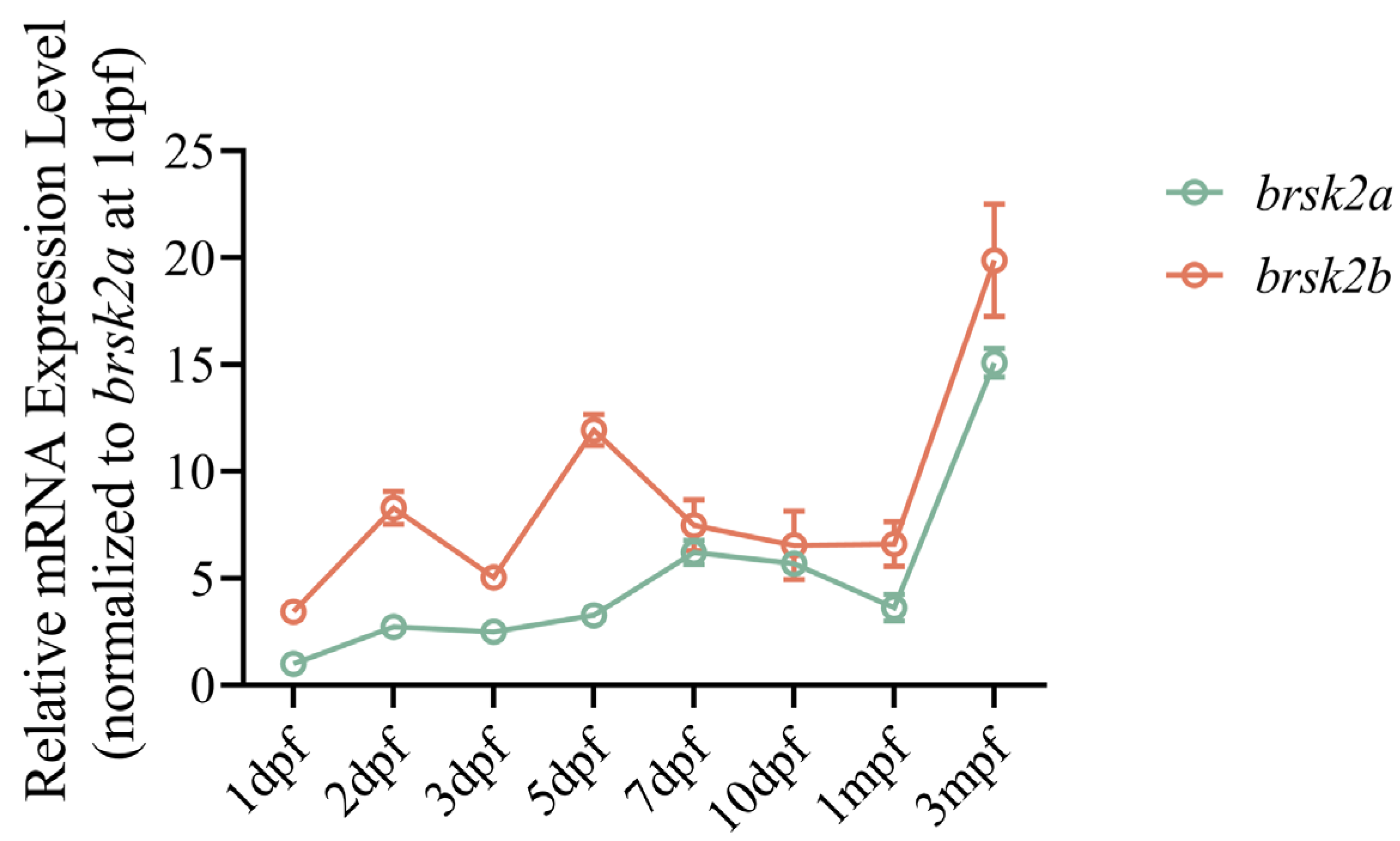 Ijms 24 16506 g001 Ijms 24 16506 g001