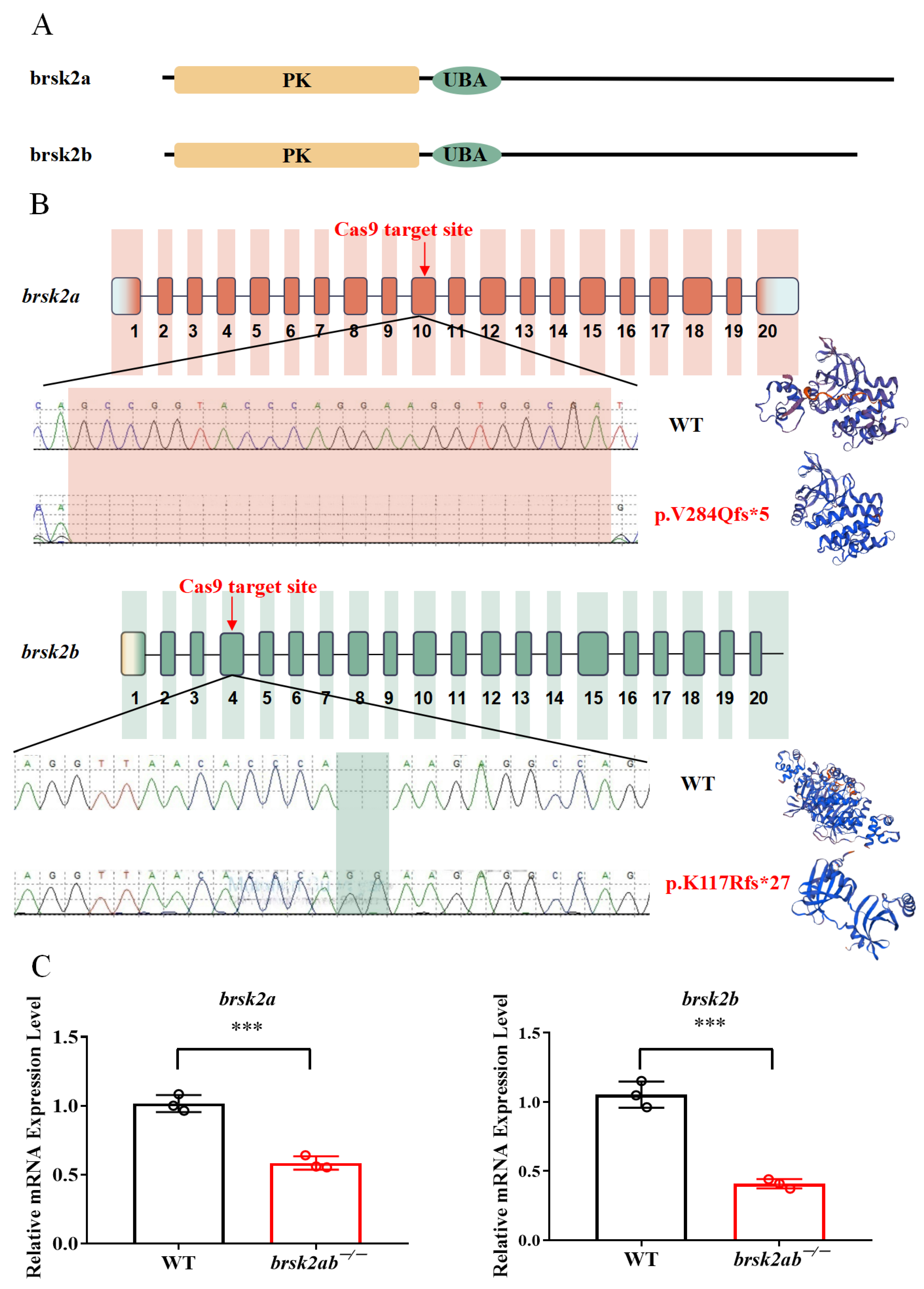 Ijms 24 16506 g002 Ijms 24 16506 g002