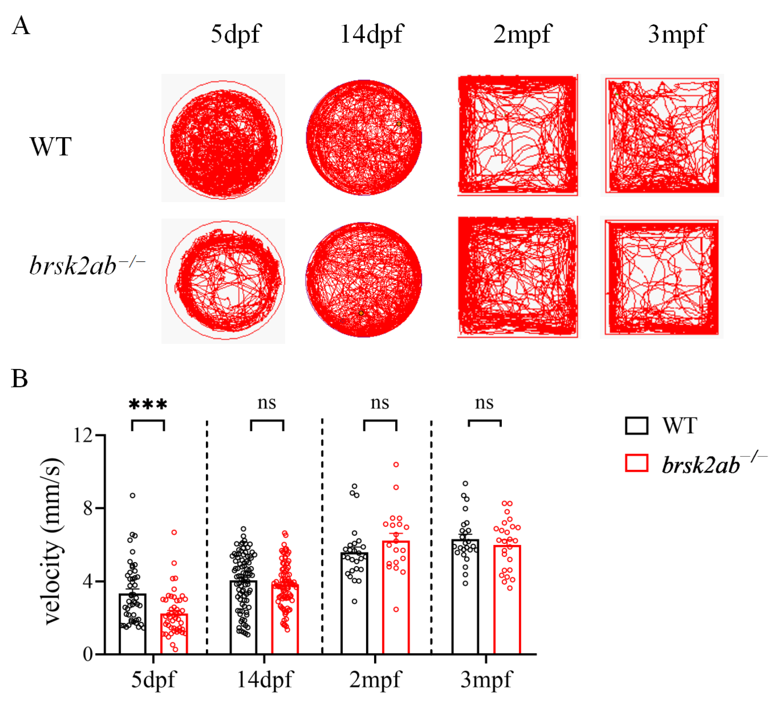 Ijms 24 16506 g004 Ijms 24 16506 g004