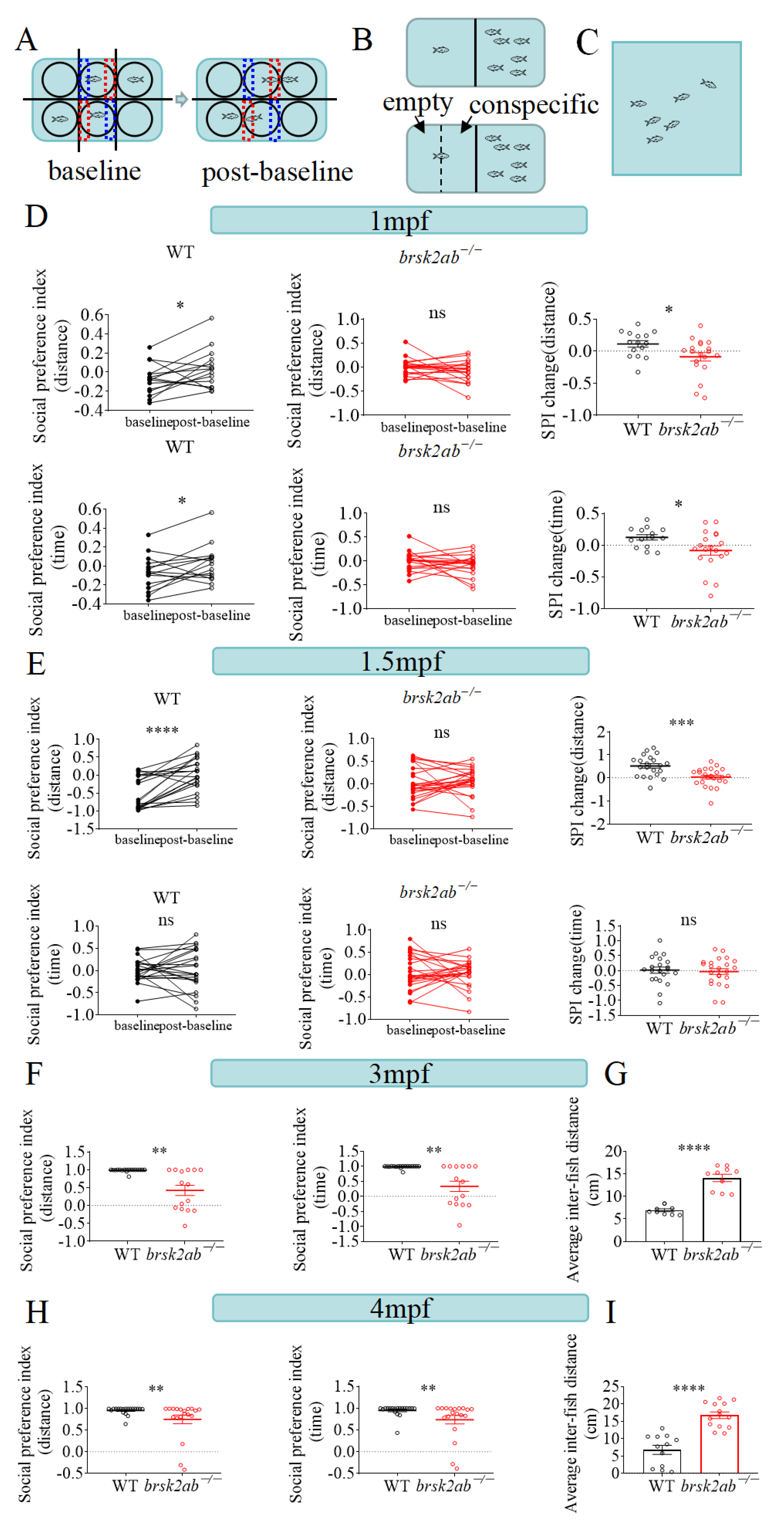 Ijms 24 16506 g005 Ijms 24 16506 g005