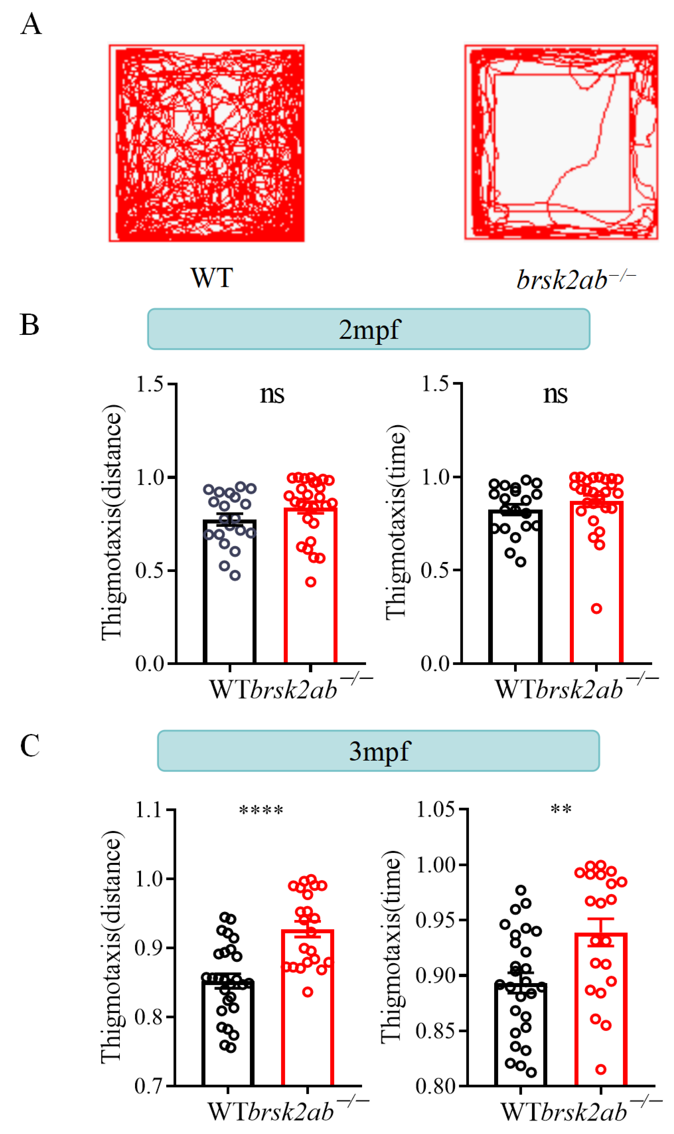 Ijms 24 16506 g006 Ijms 24 16506 g006