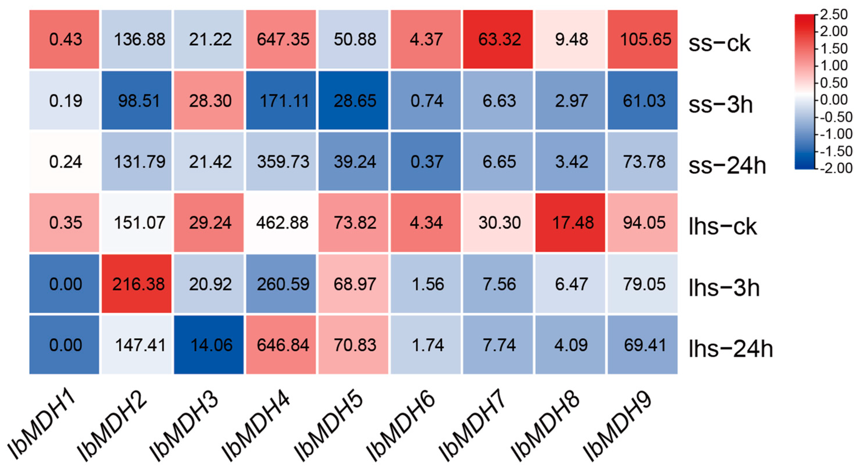 IJMS | Free Full-Text | Genome-Wide Identification and Expression ...