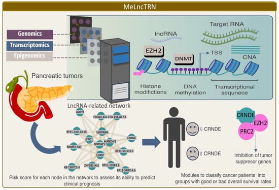 Blood-derived lncRNAs as biomarkers for cancer diagnosis: the Good, the Bad  and the Beauty