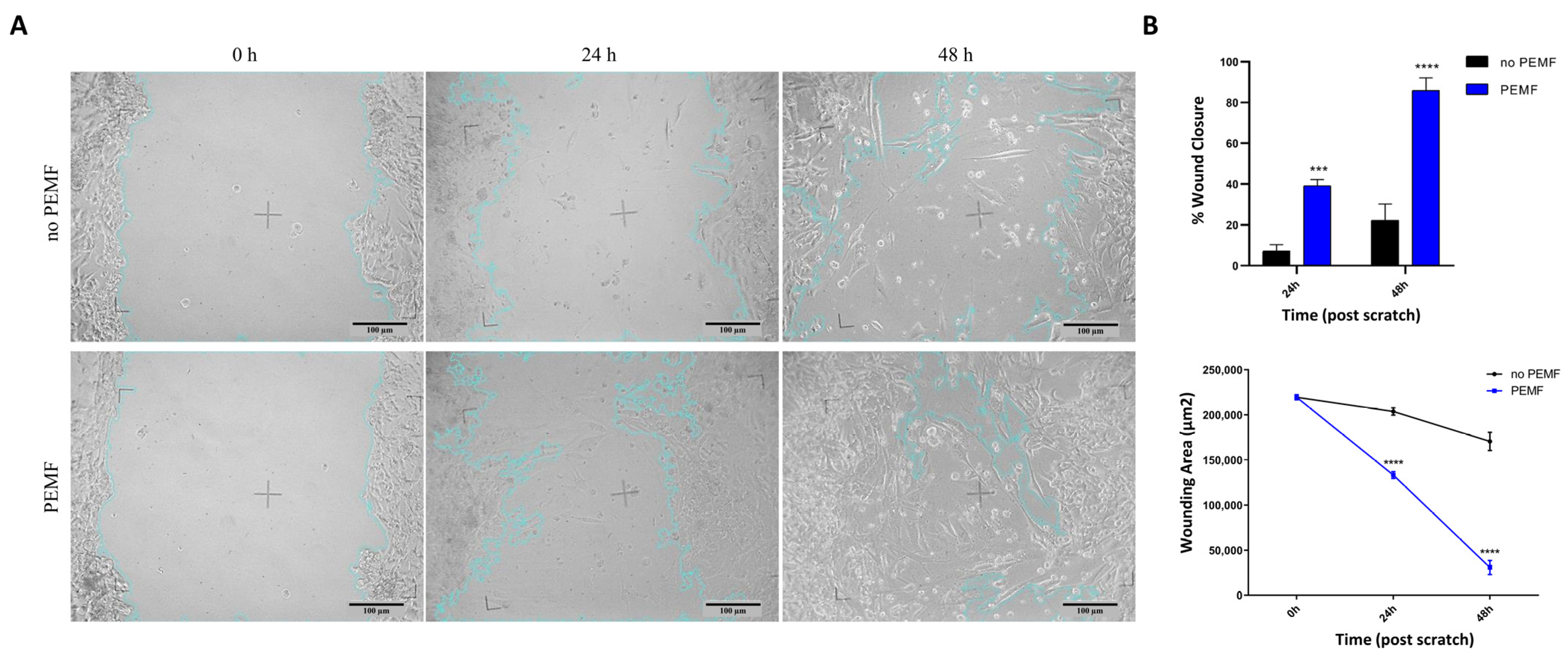 Ijms 24 16631 g005