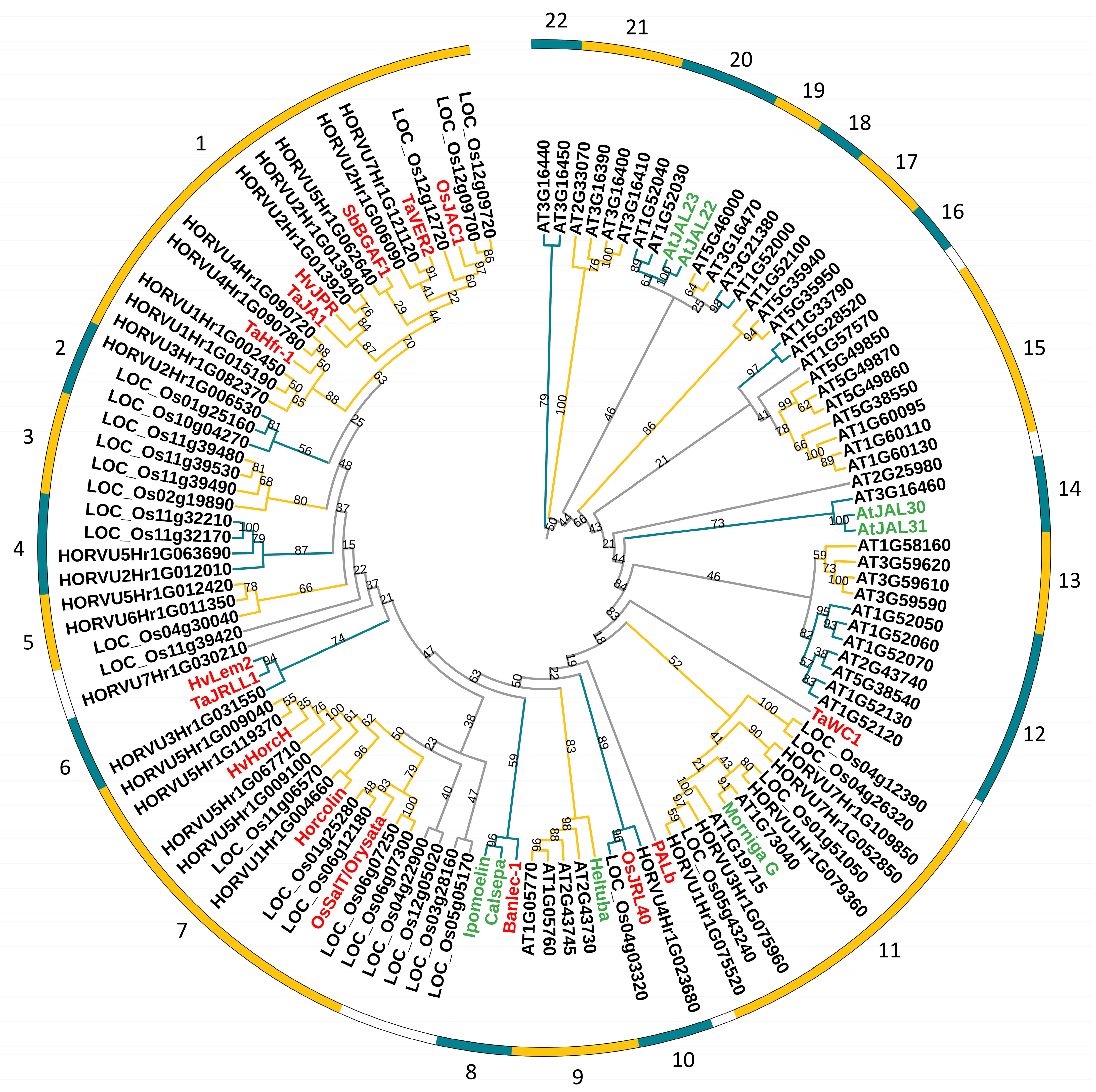 Ijms 24 16641 g005 Ijms 24 16641 g005