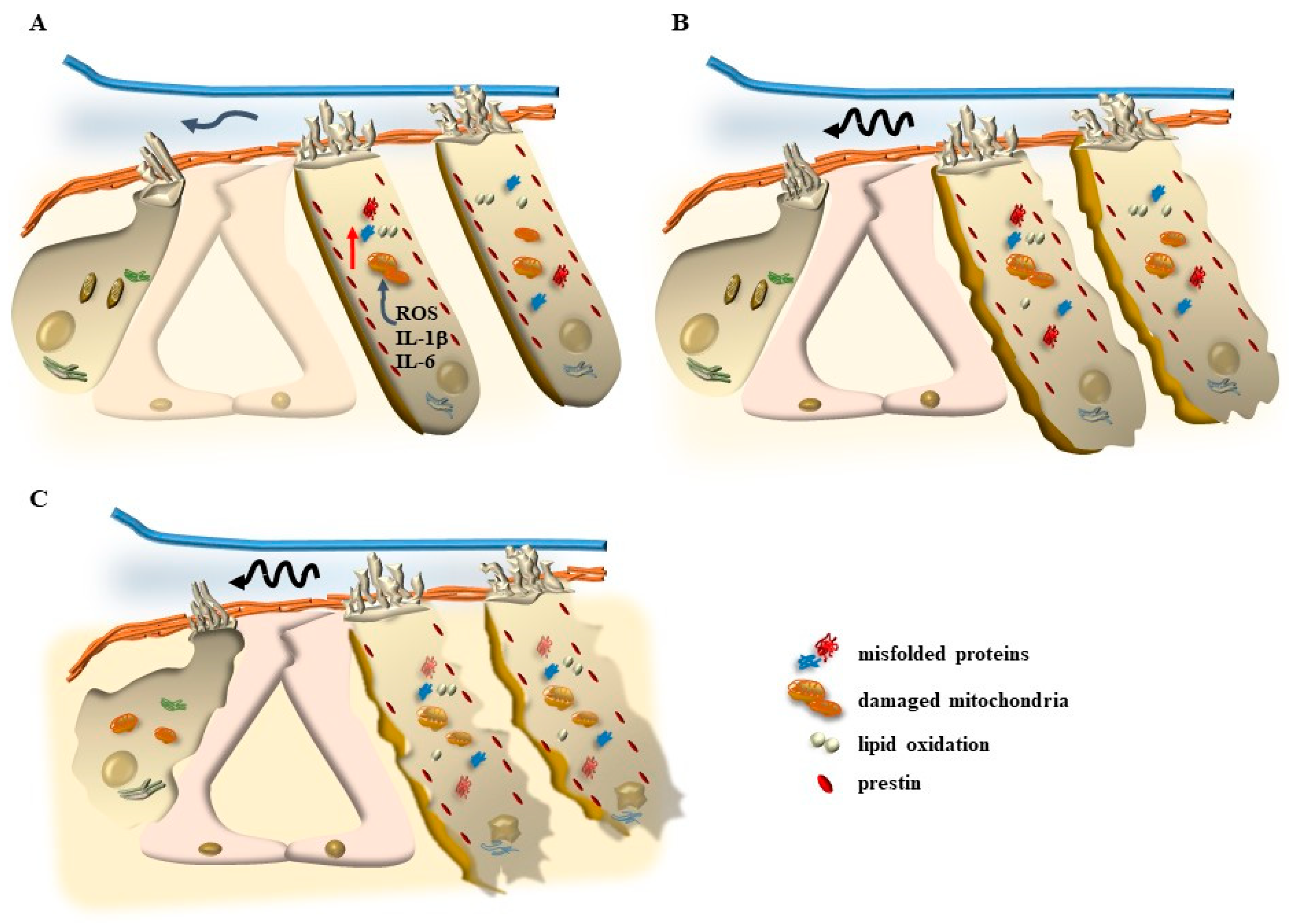 Ijms 24 16664 g006 Ijms 24 16664 g006
