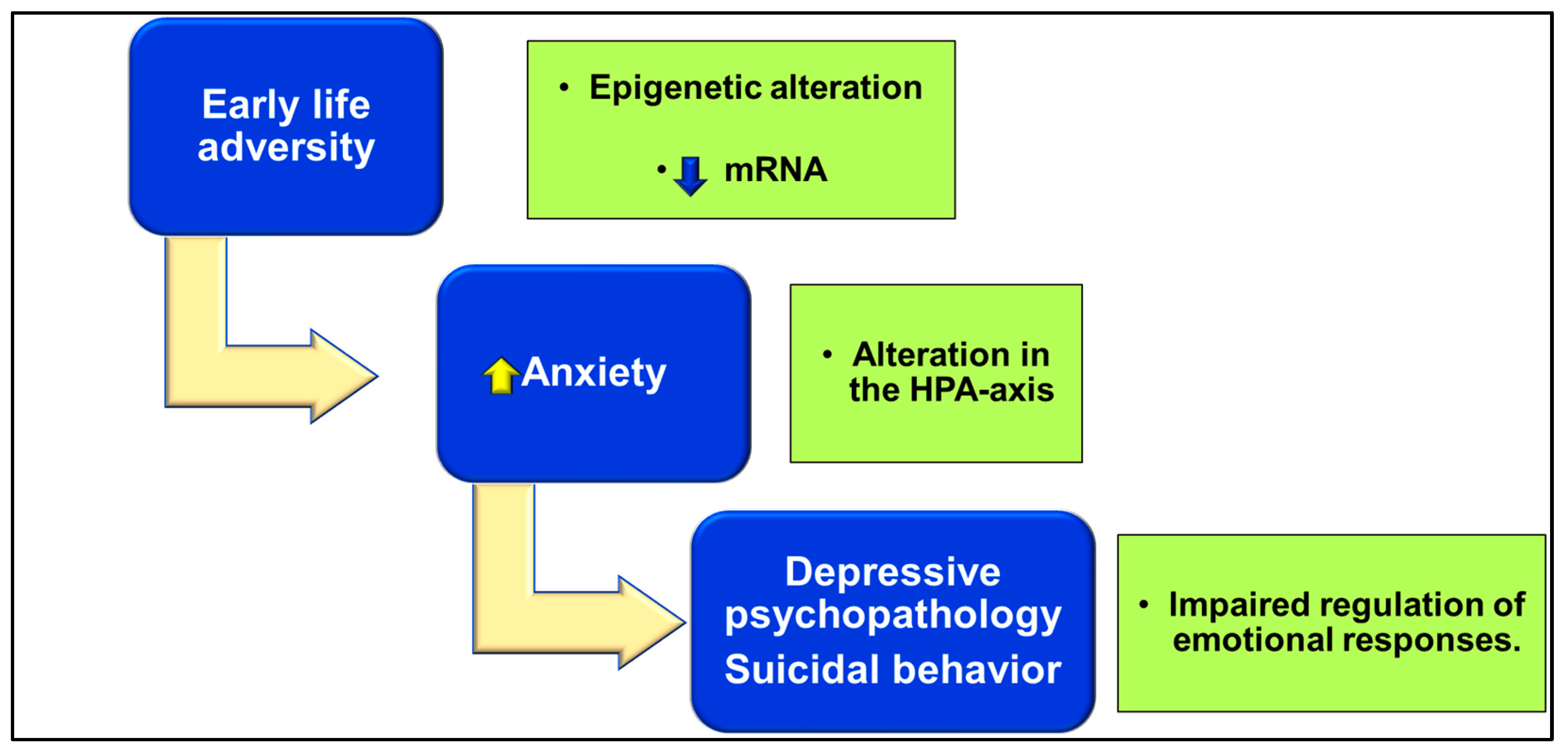 Ijms 24 16726 g002 Ijms 24 16726 g002