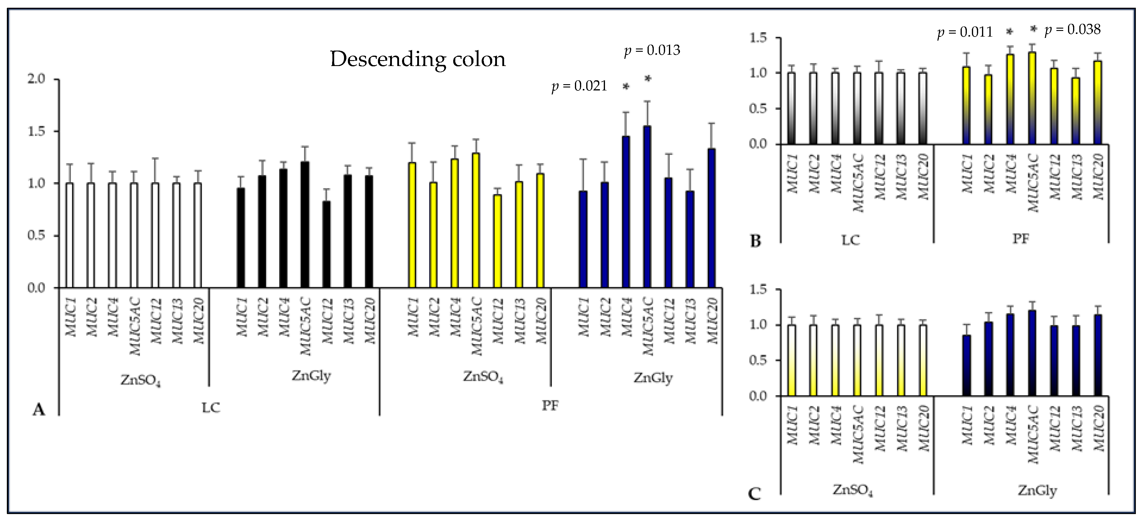 Ijms 24 16743 g005 Ijms 24 16743 g005