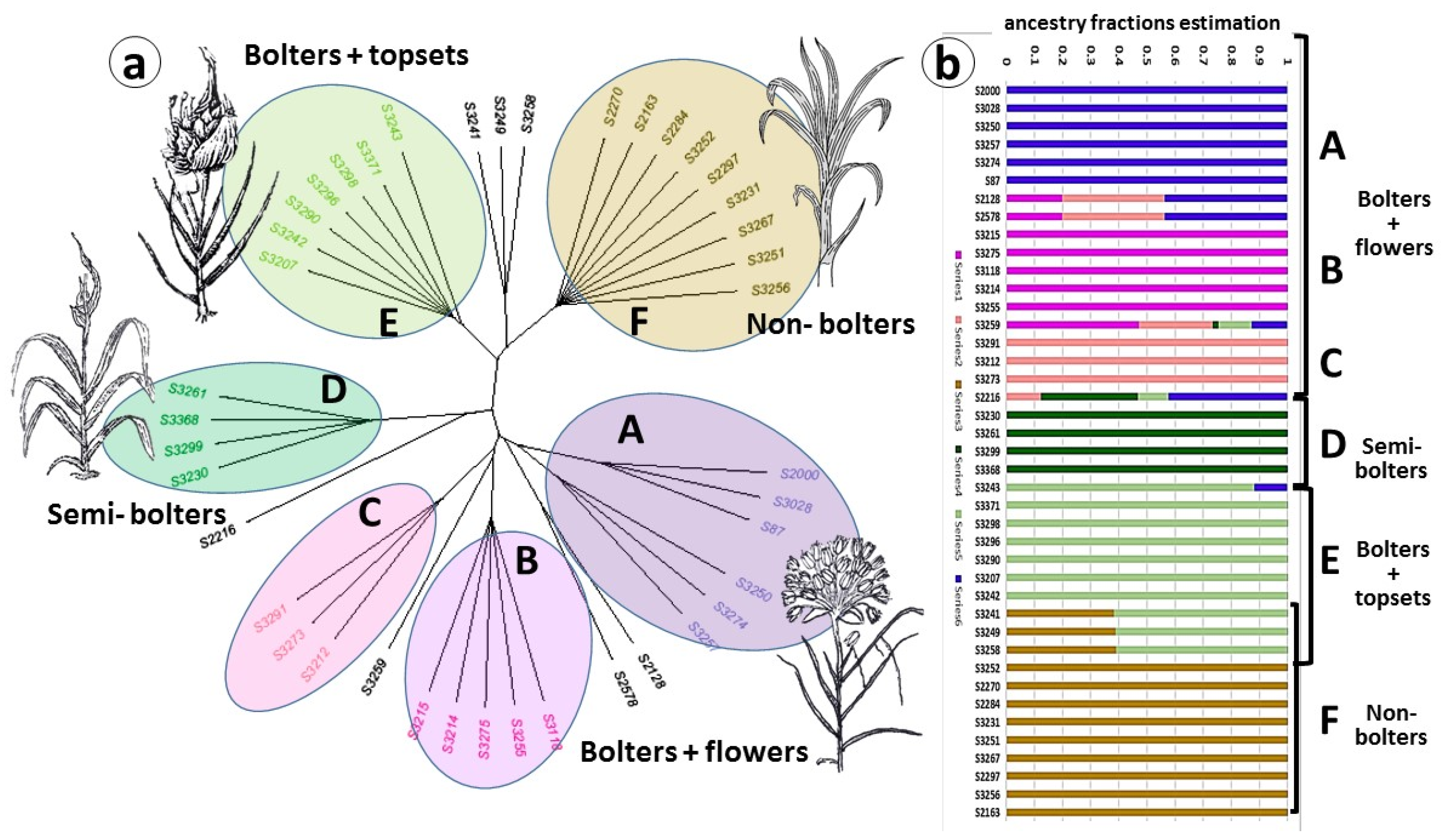 Ijms 24 16777 g001 Ijms 24 16777 g001