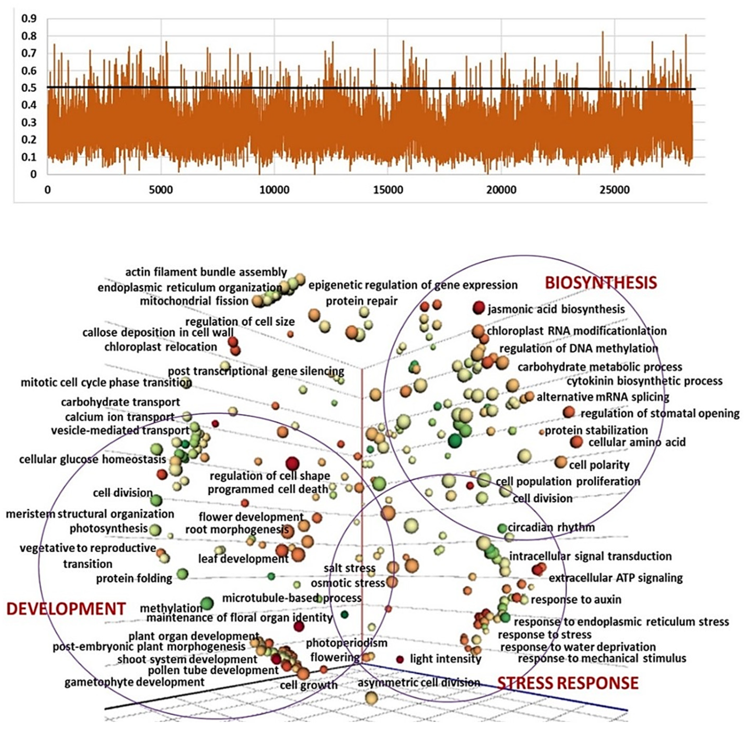 Ijms 24 16777 g004 Ijms 24 16777 g004