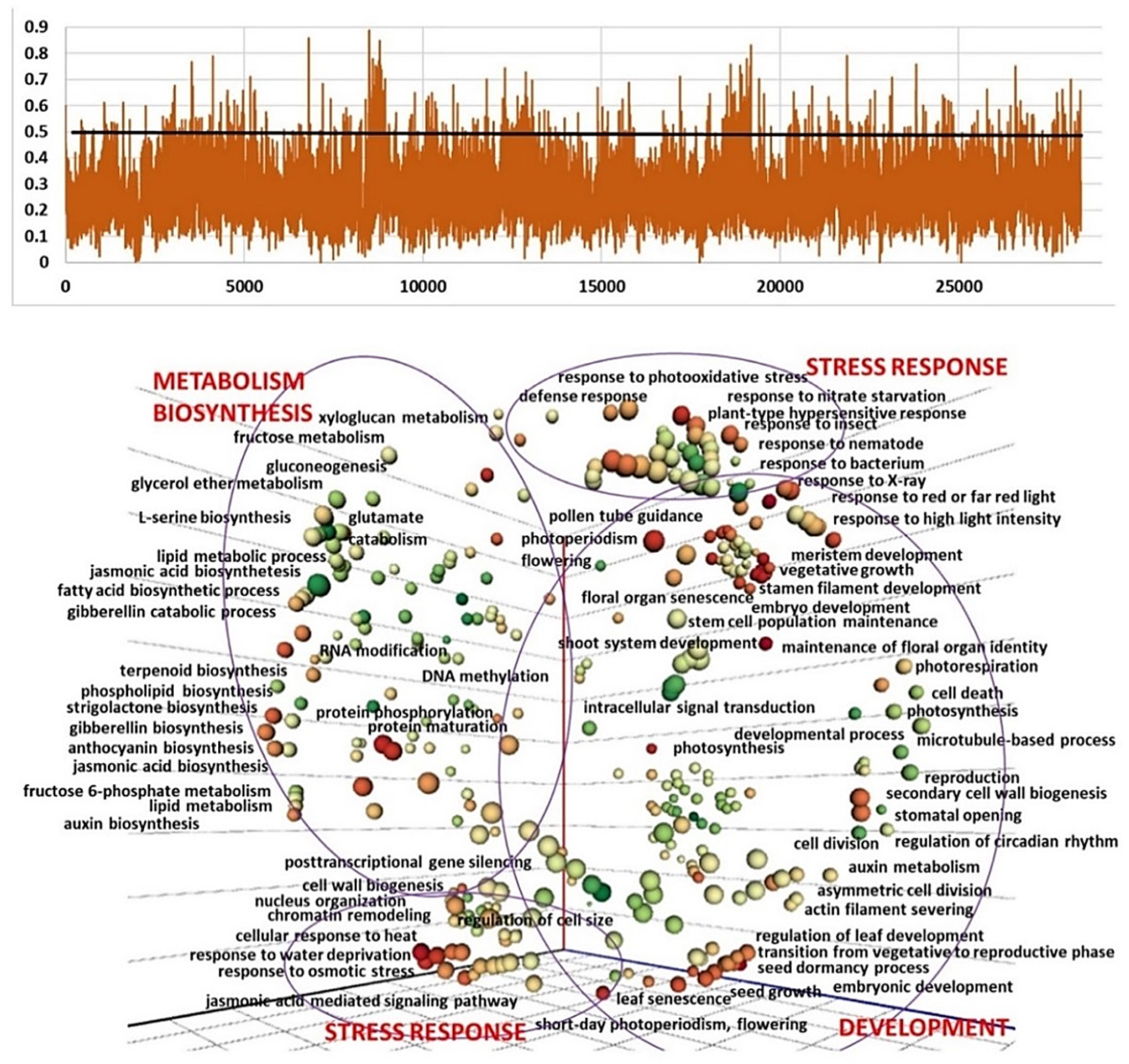 Ijms 24 16777 g006 Ijms 24 16777 g006