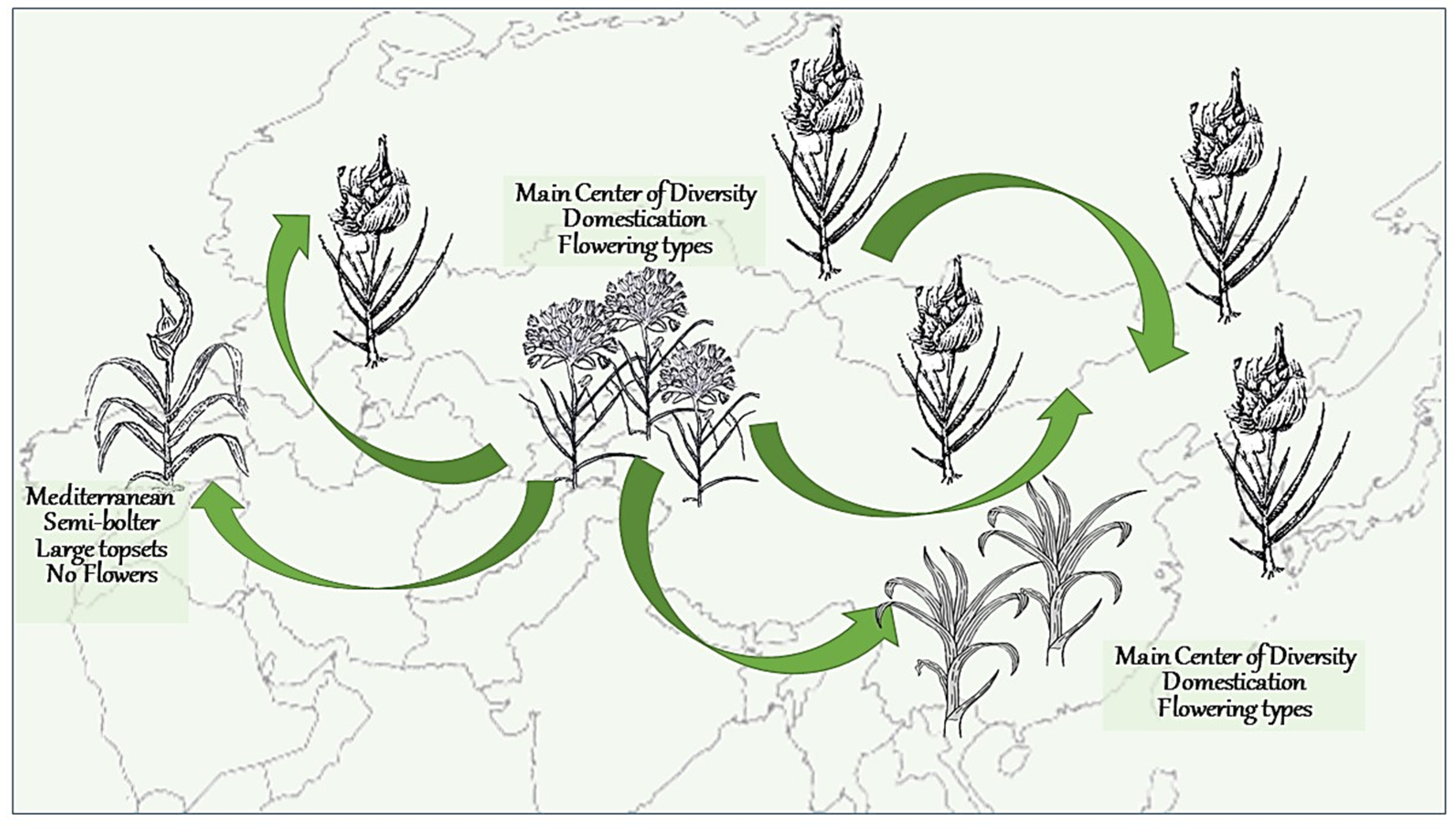 Ijms 24 16777 g009 Ijms 24 16777 g009