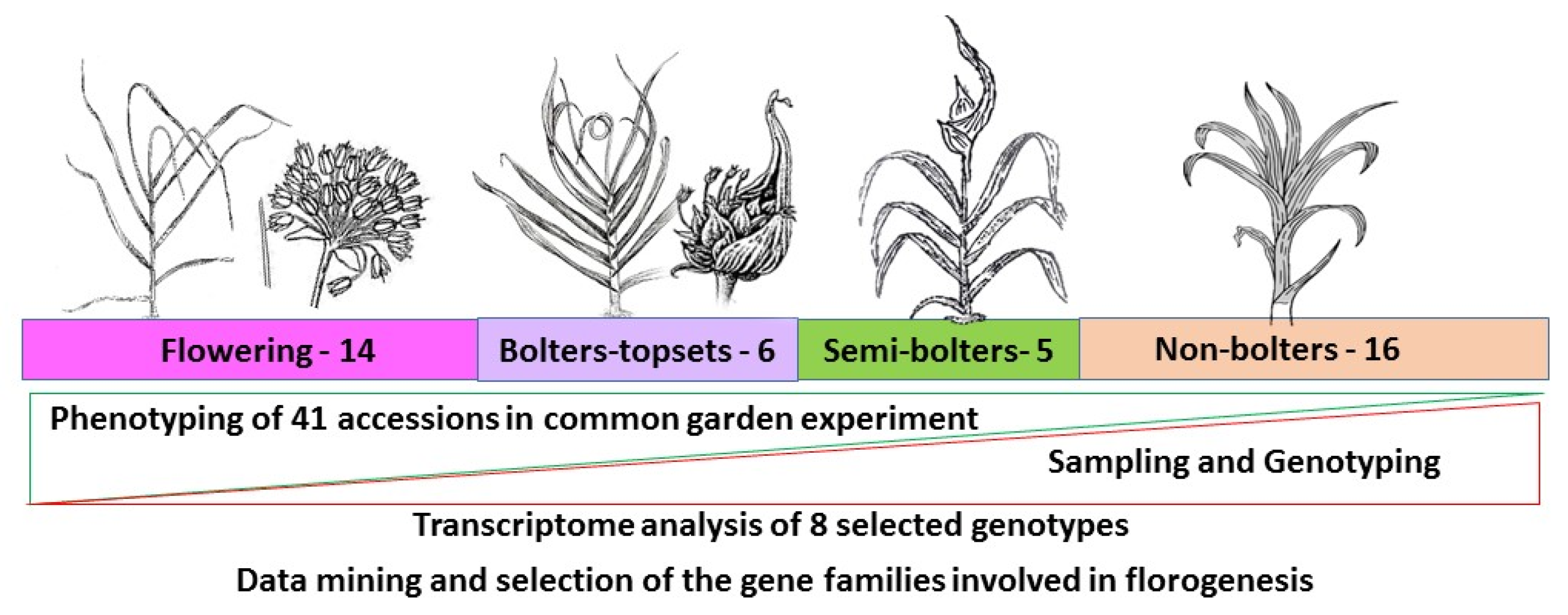 Ijms 24 16777 g010 Ijms 24 16777 g010