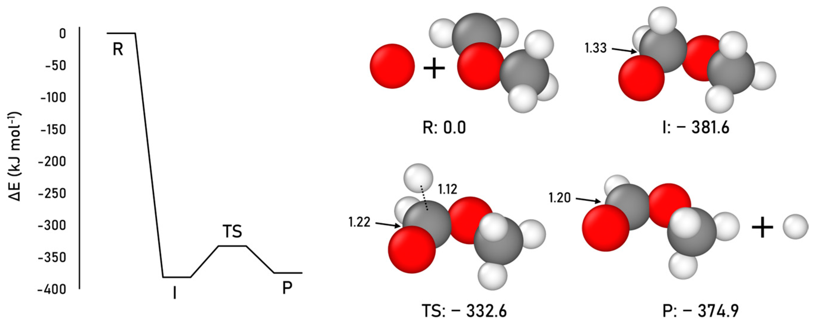 Ijms 24 16824 g003 Ijms 24 16824 g003