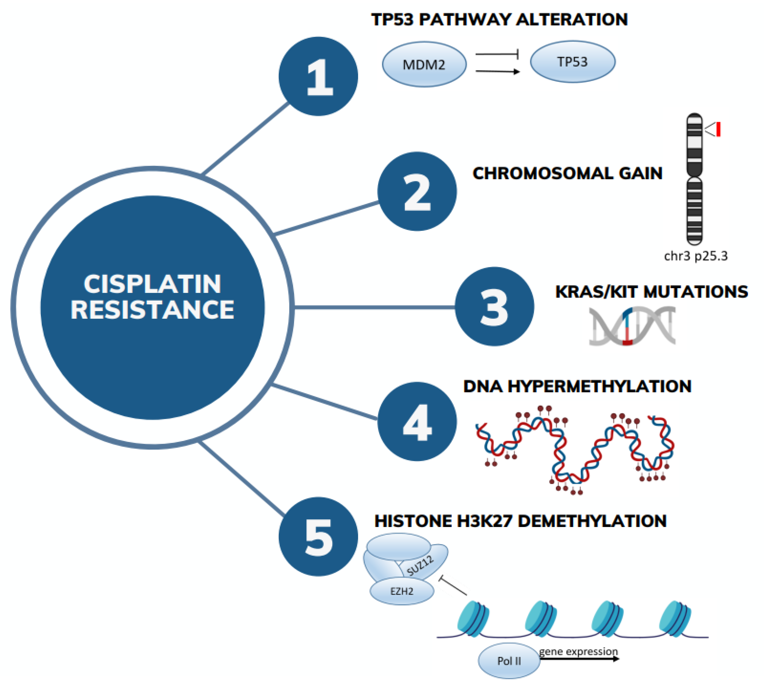 Ijms 24 16872 g002 Ijms 24 16872 g002