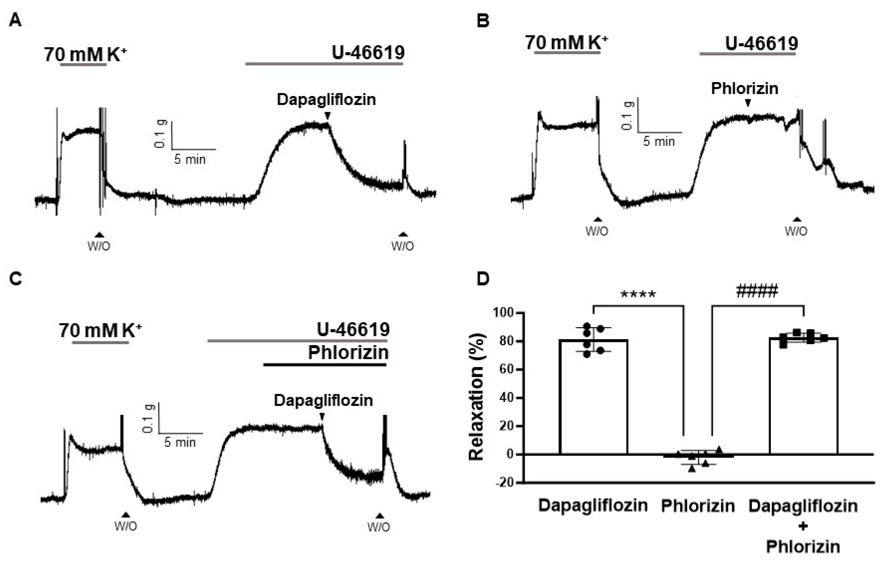 Ijms 24 16873 g003 Ijms 24 16873 g003