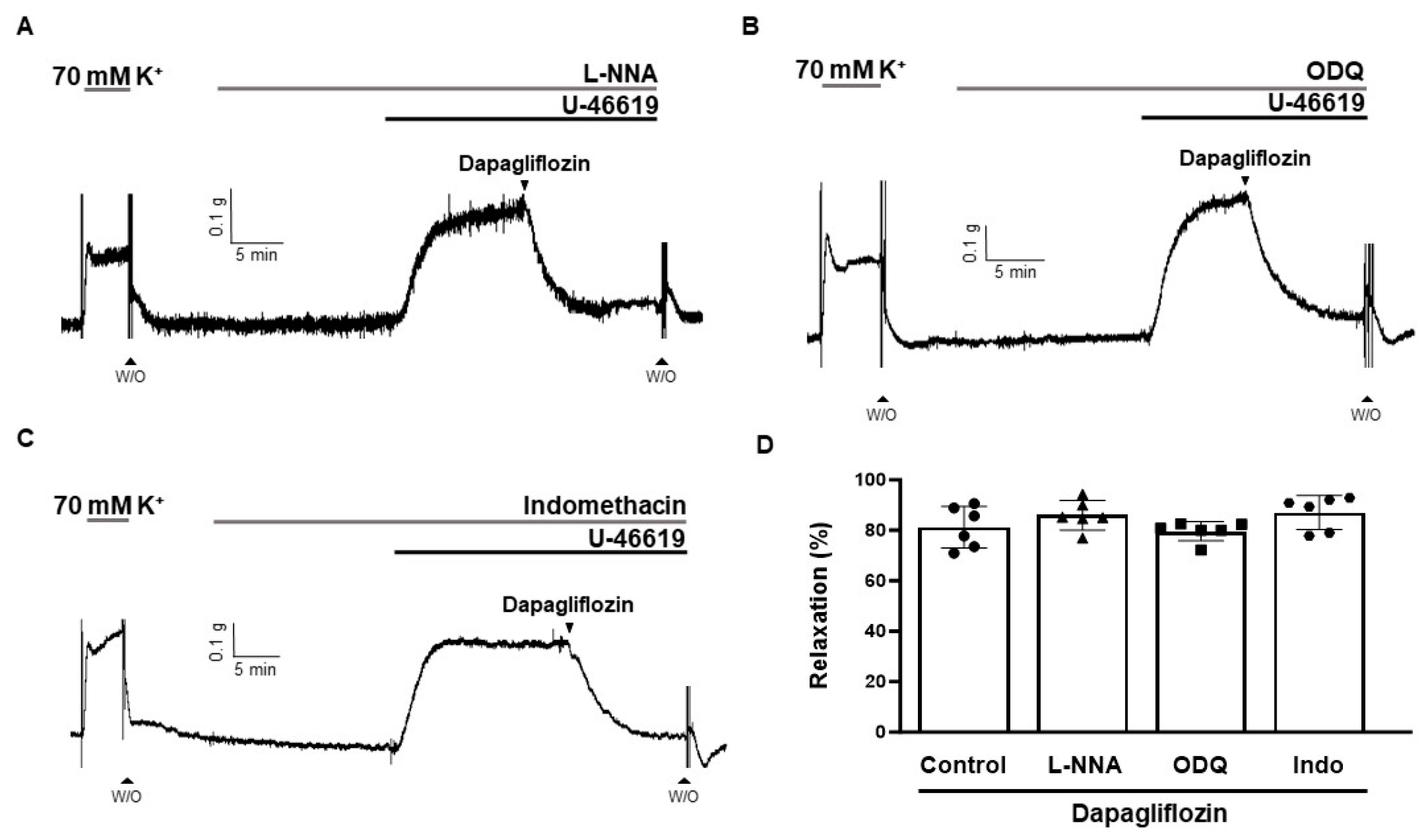 Ijms 24 16873 g005 Ijms 24 16873 g005