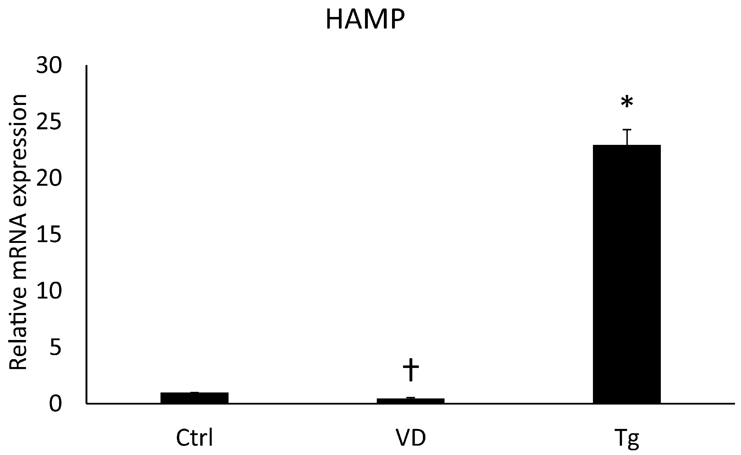 Ijms 24 16883 g003 Ijms 24 16883 g003
