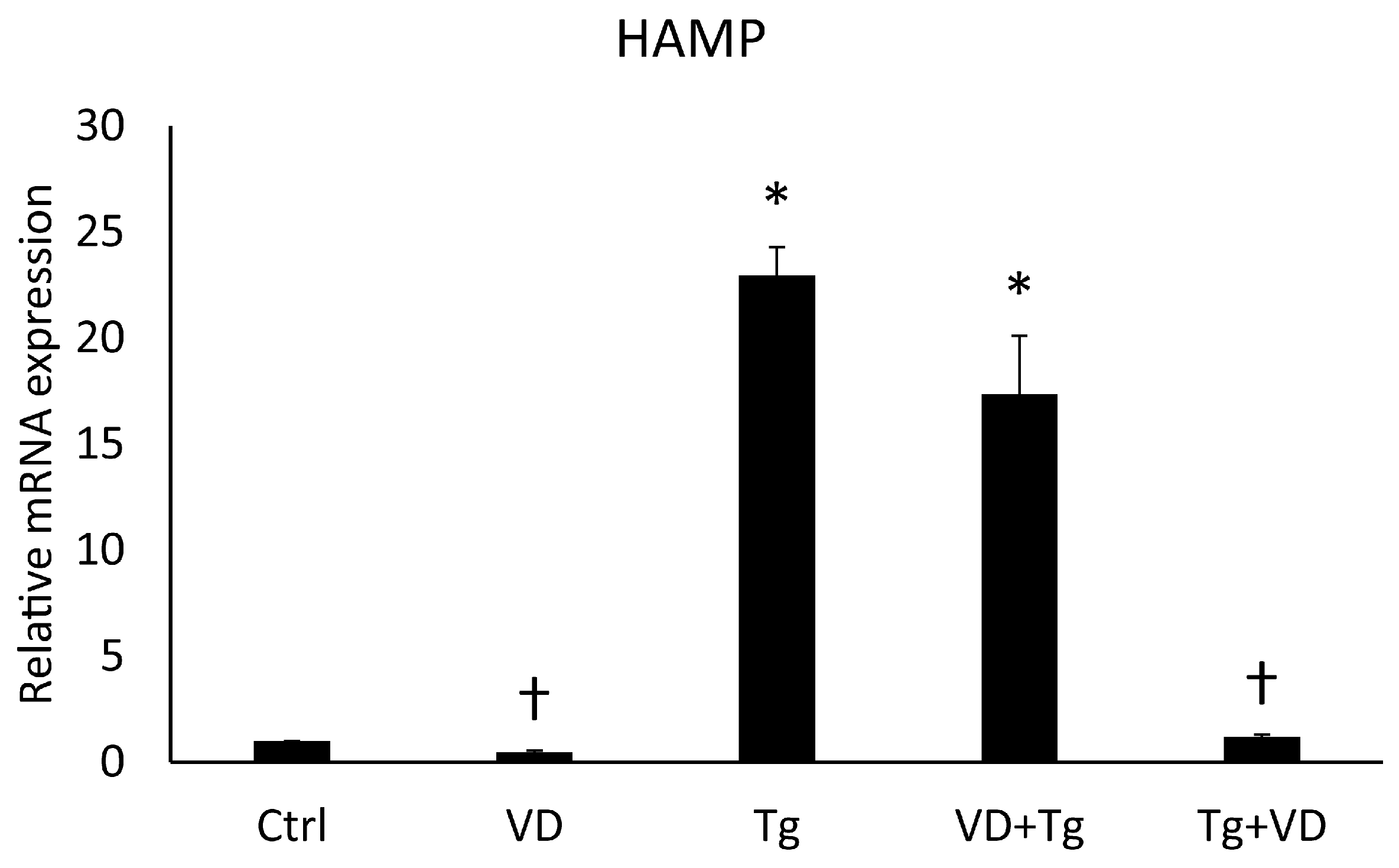 Ijms 24 16883 g006 Ijms 24 16883 g006