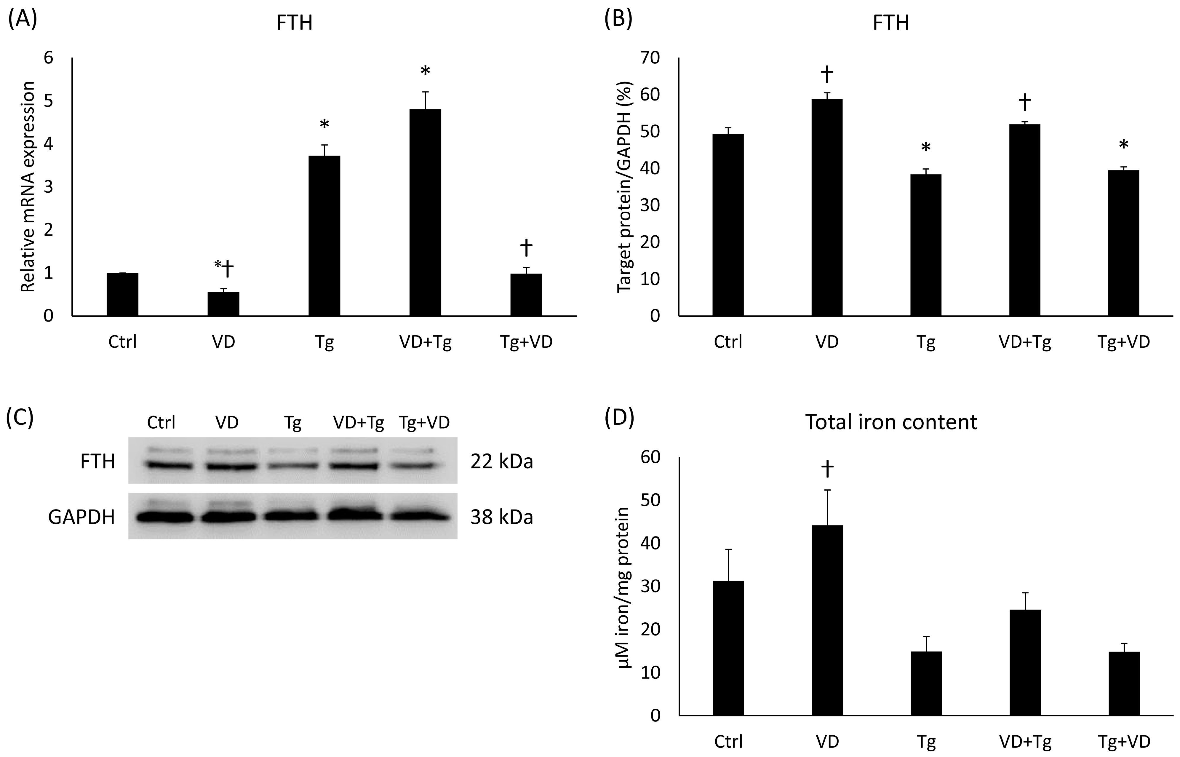 Ijms 24 16883 g008 Ijms 24 16883 g008