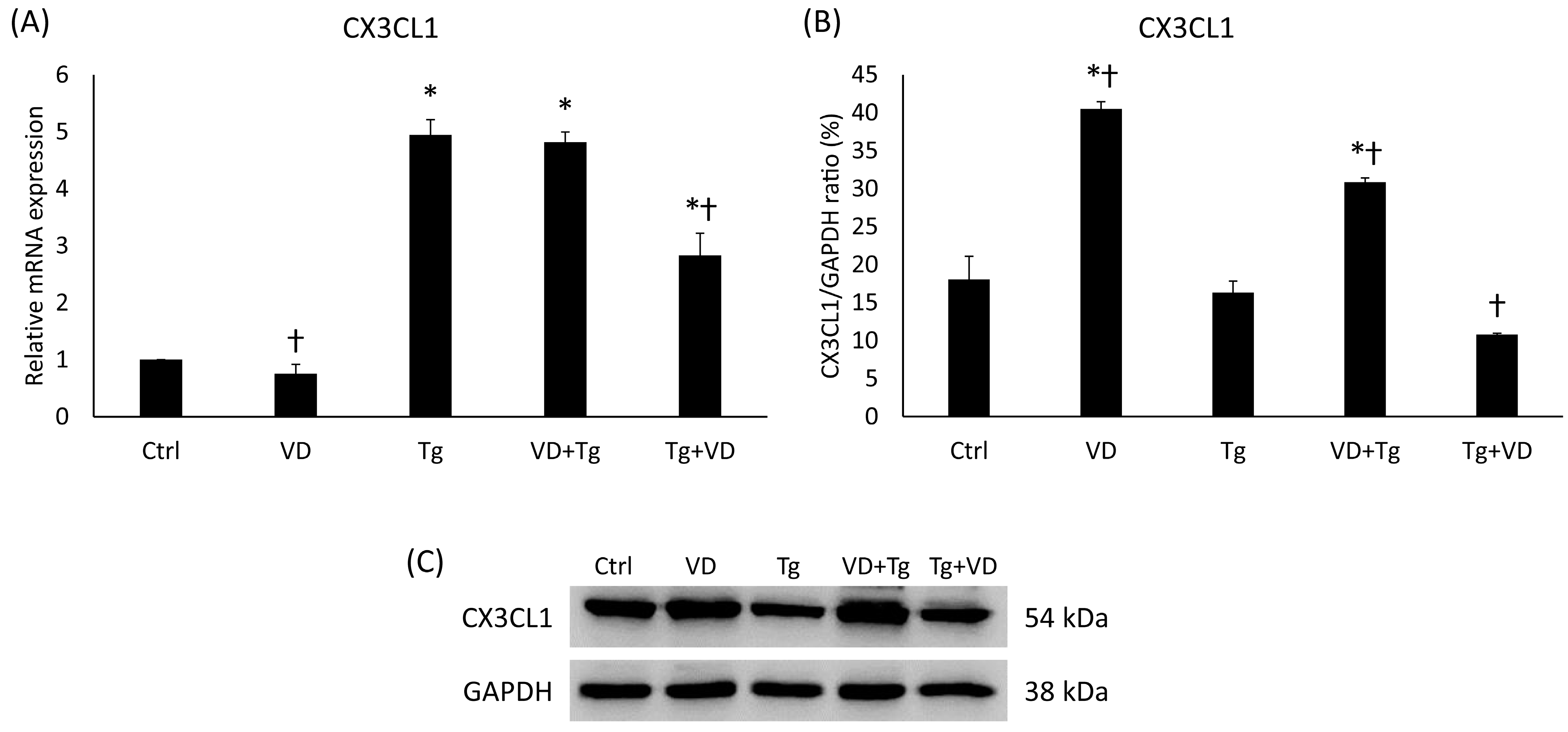 Ijms 24 16883 g010 Ijms 24 16883 g010