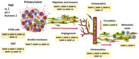 Role of MMP-9 in epithelial-mesenchymal transition of thyroid cancer, World Journal of Surgical Oncology