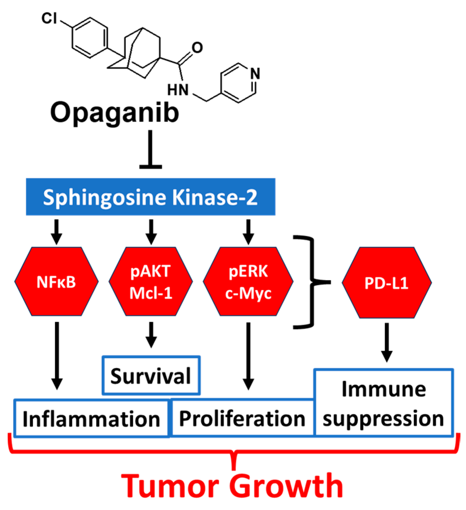 IJMS | Free Full-Text | Opaganib (ABC294640) Induces Immunogenic 