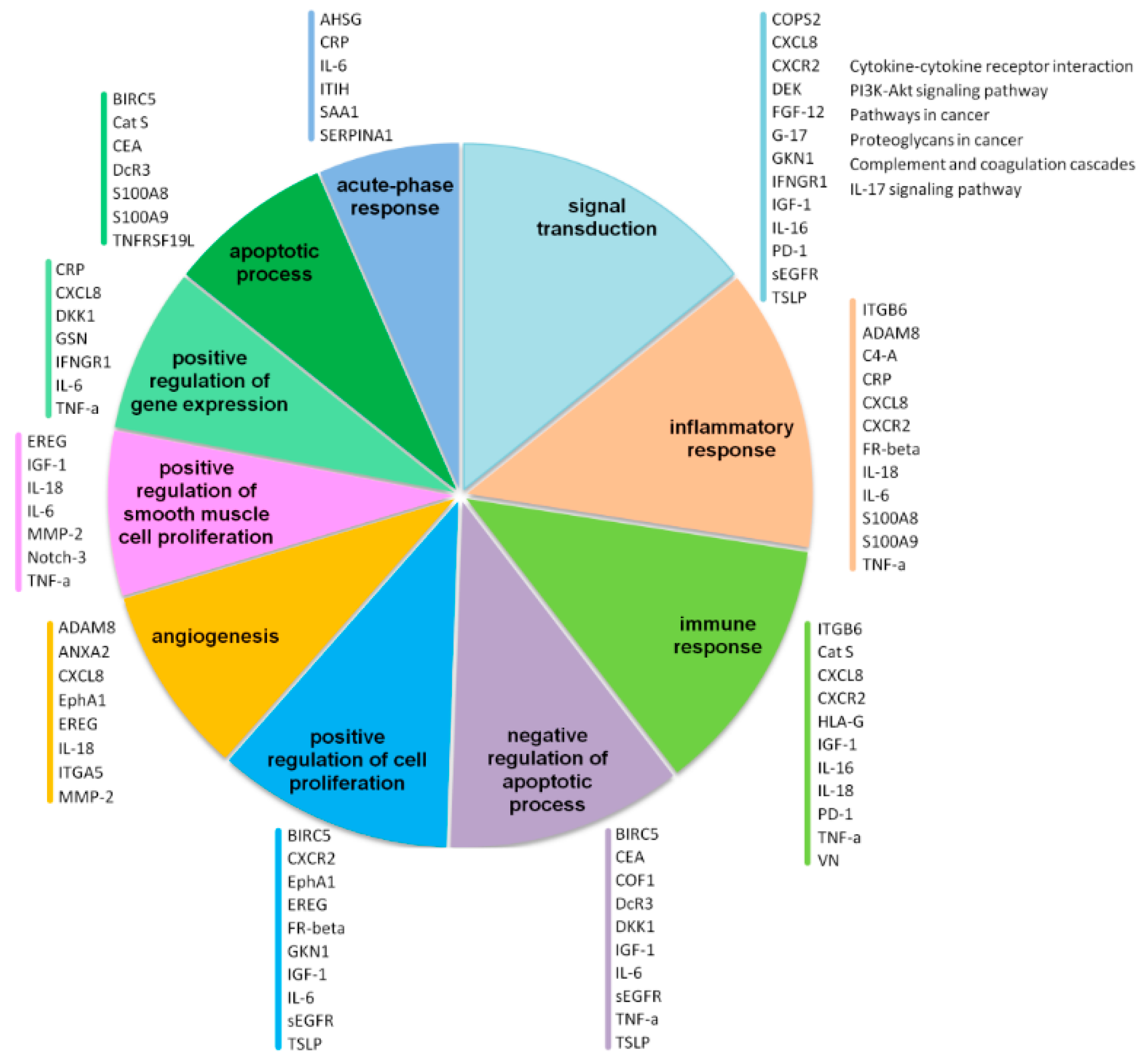 Ijms 24 16931 g002 Ijms 24 16931 g002