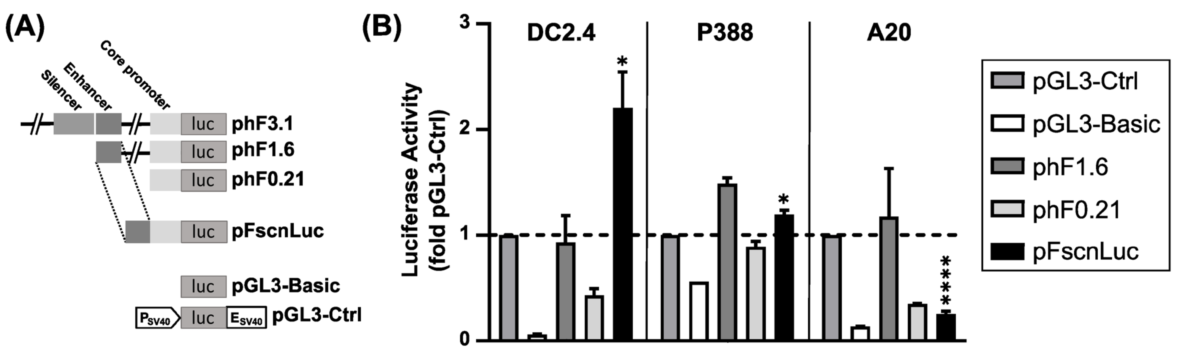 Ijms 24 16938 g001 Ijms 24 16938 g001