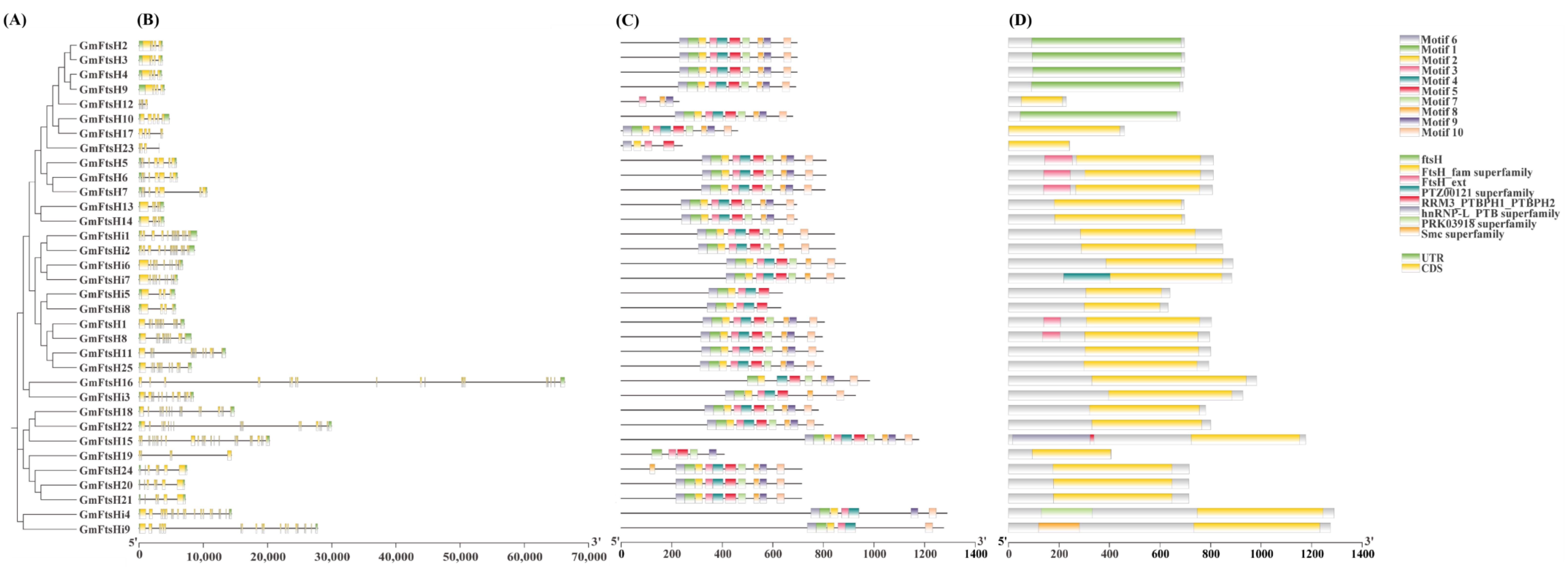 Ijms 24 16996 g002