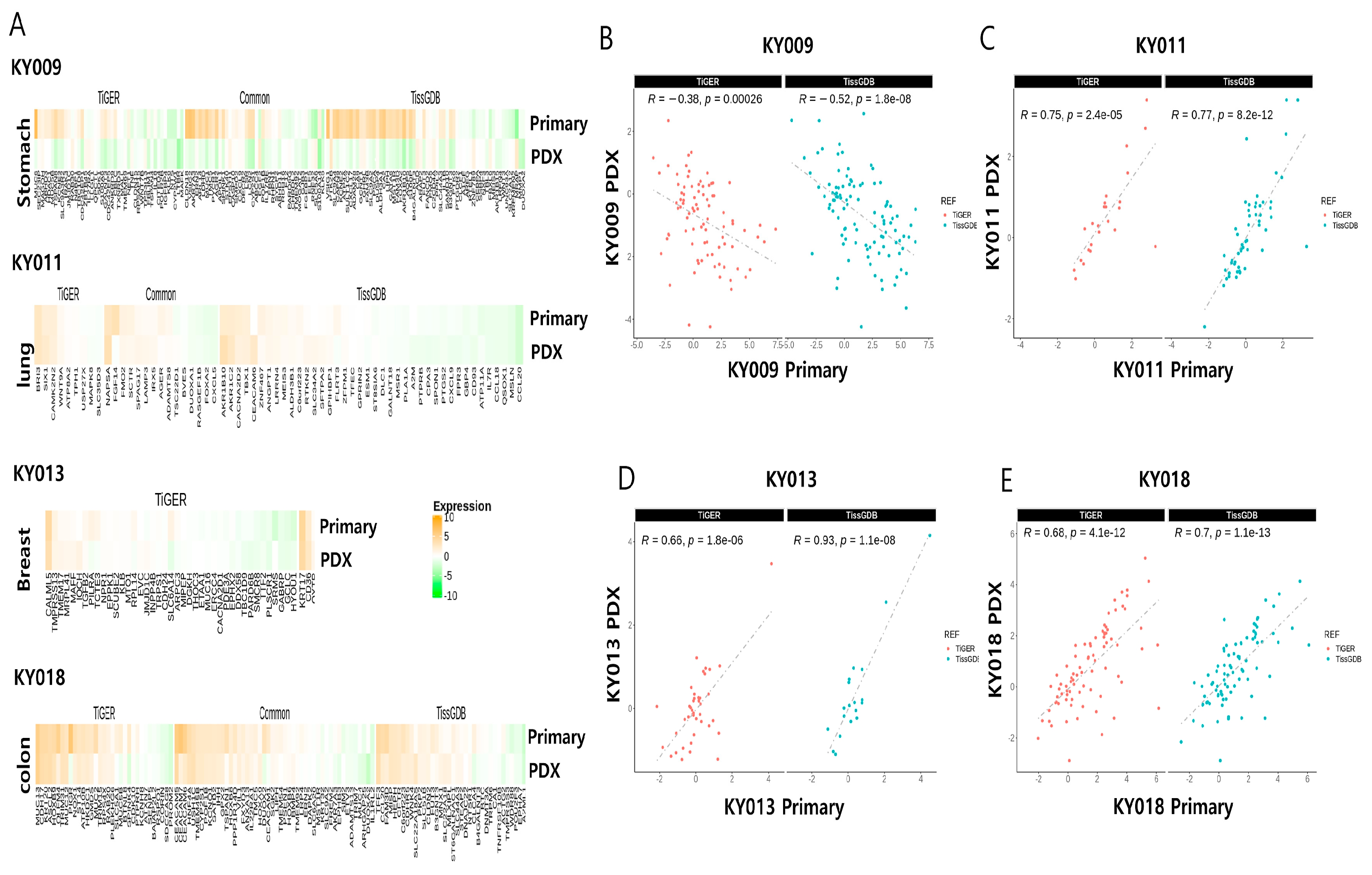 Ijms 24 17001 g002 Ijms 24 17001 g002