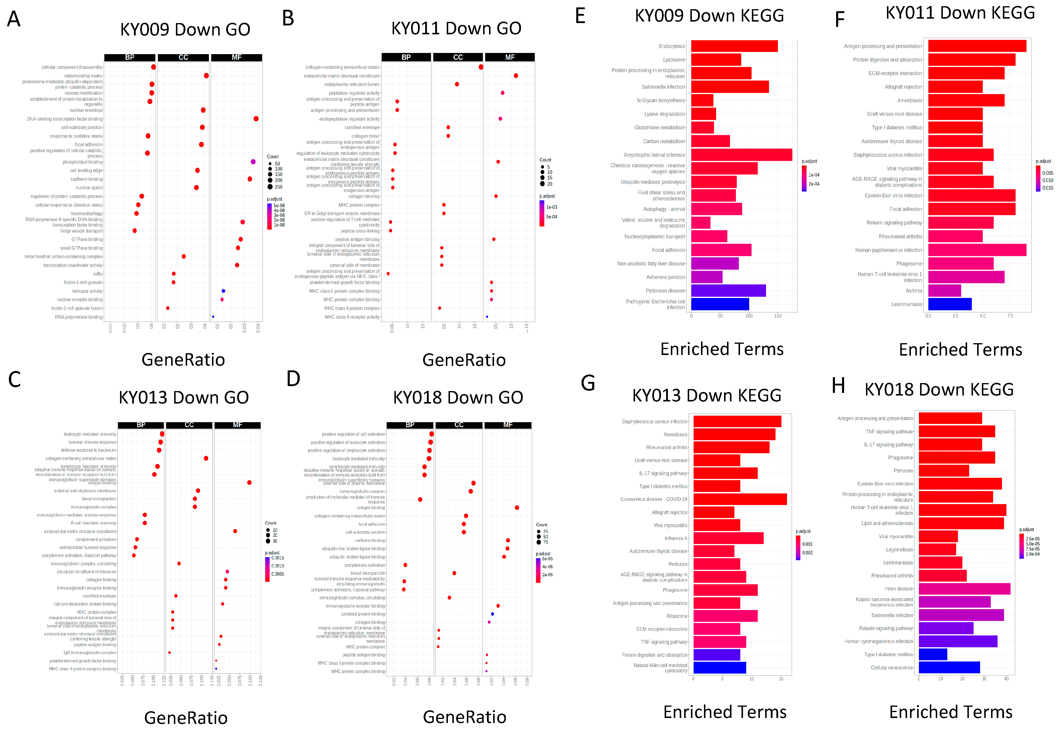 Ijms 24 17001 g003 Ijms 24 17001 g003