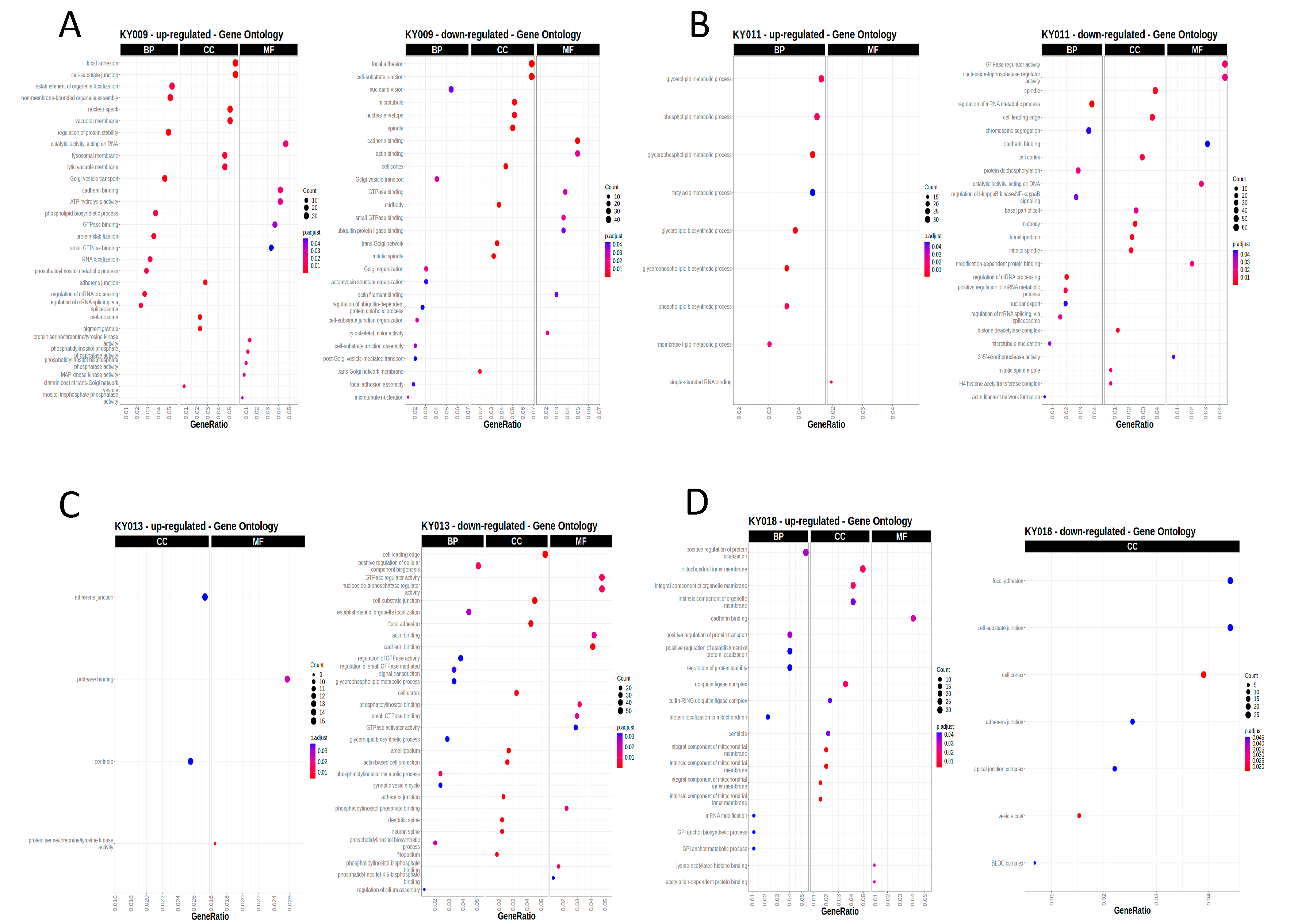 Ijms 24 17001 g005 Ijms 24 17001 g005