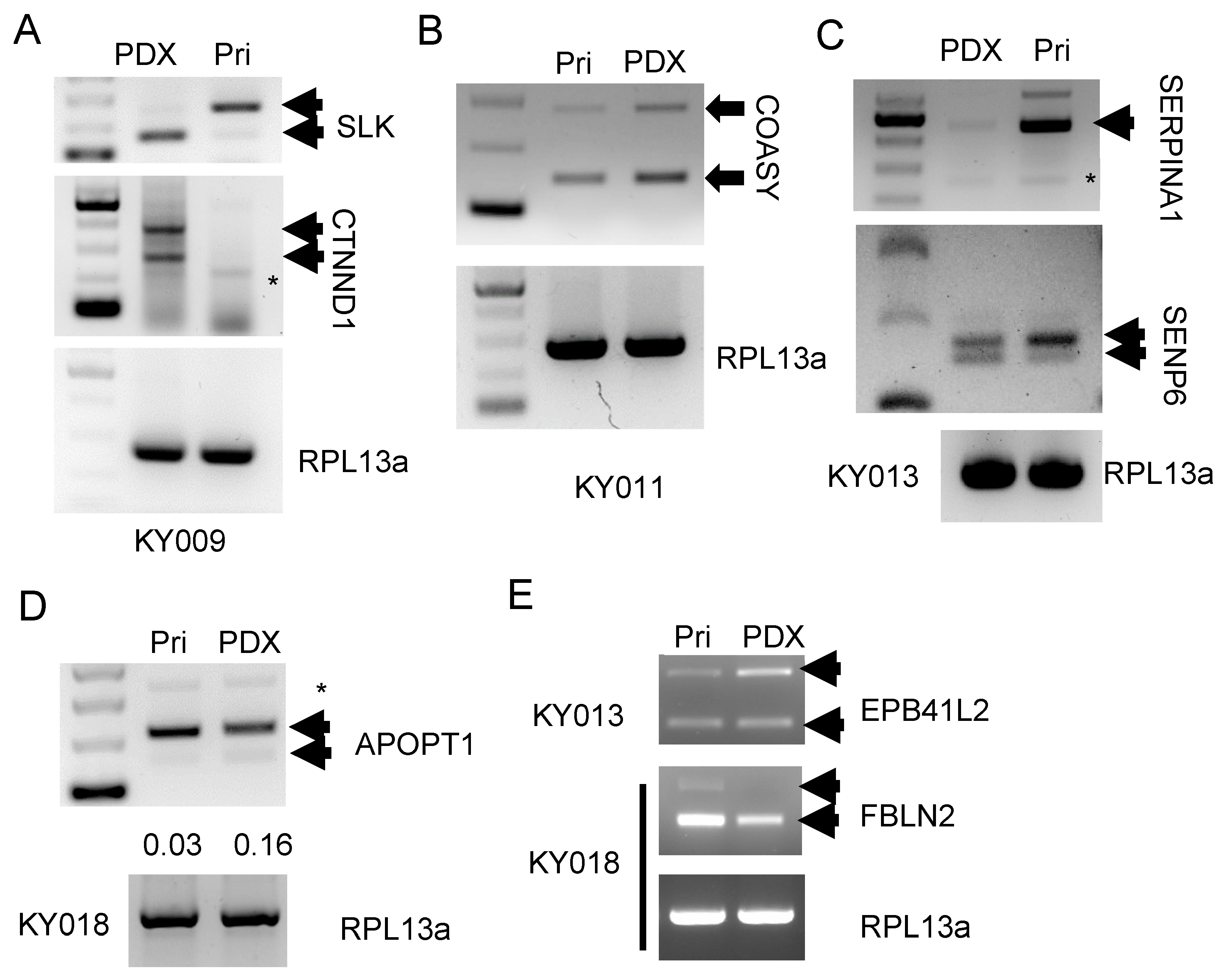 Ijms 24 17001 g006 Ijms 24 17001 g006