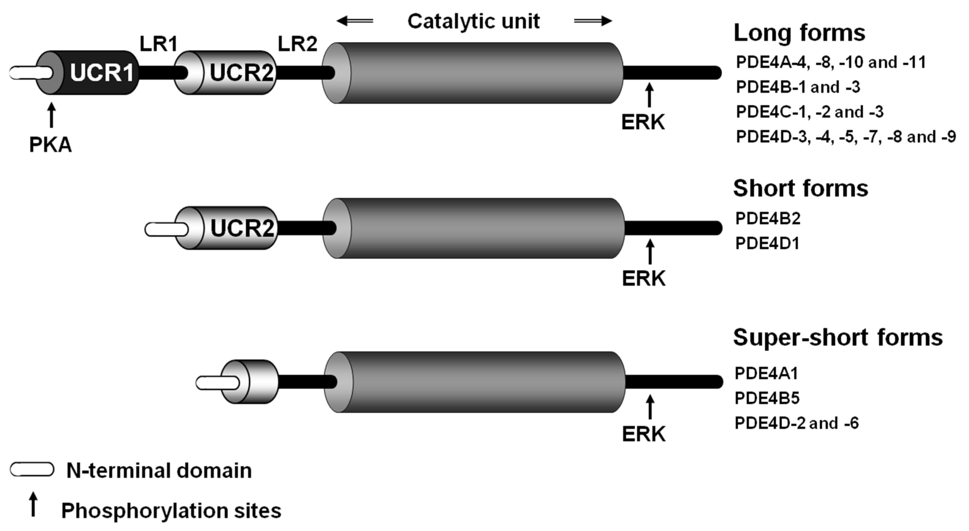 Ijms 24 17017 g002 Ijms 24 17017 g002