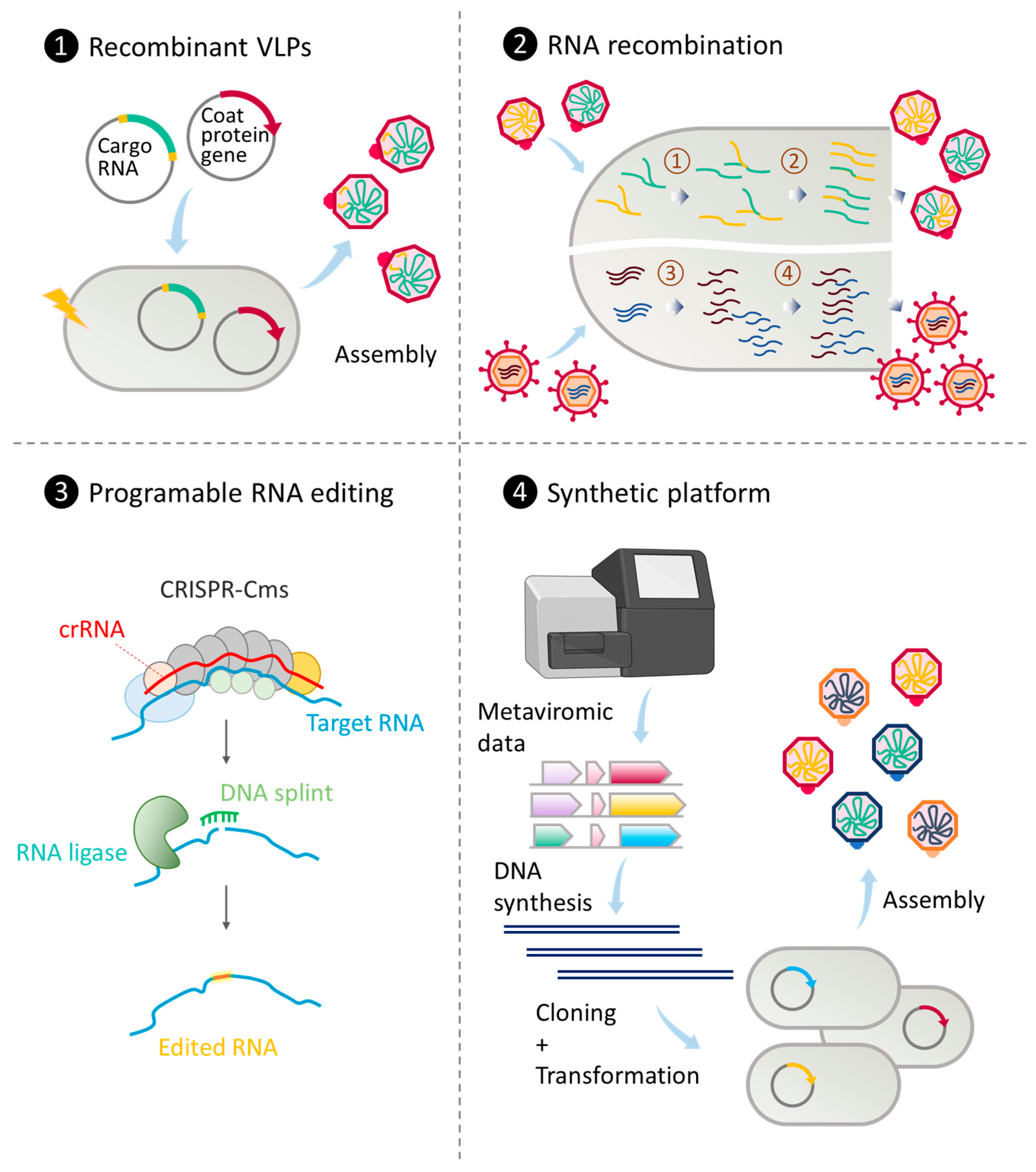 Ijms 24 17029 g001 Ijms 24 17029 g001