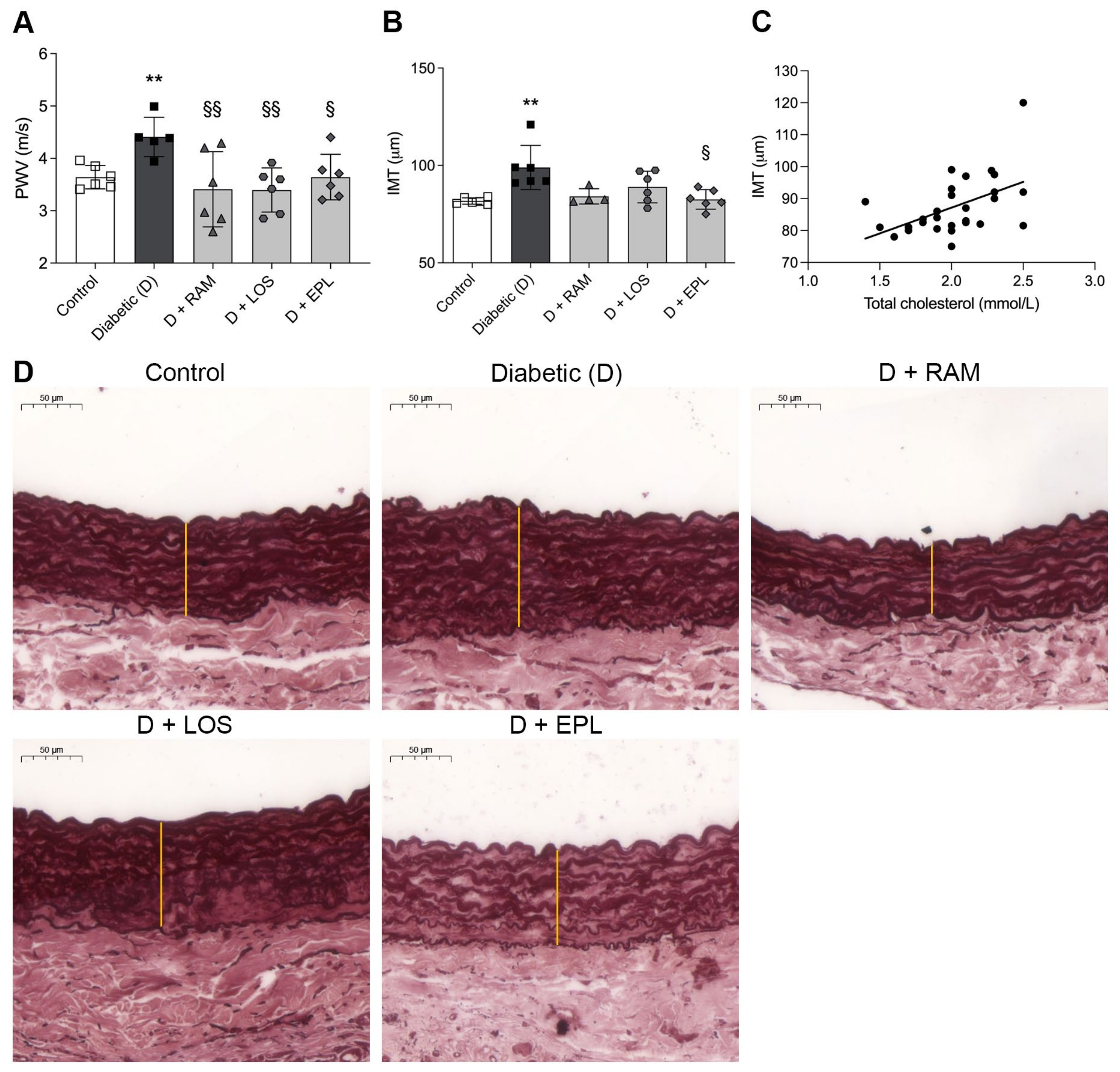 Ijms 24 17043 g001 Ijms 24 17043 g001