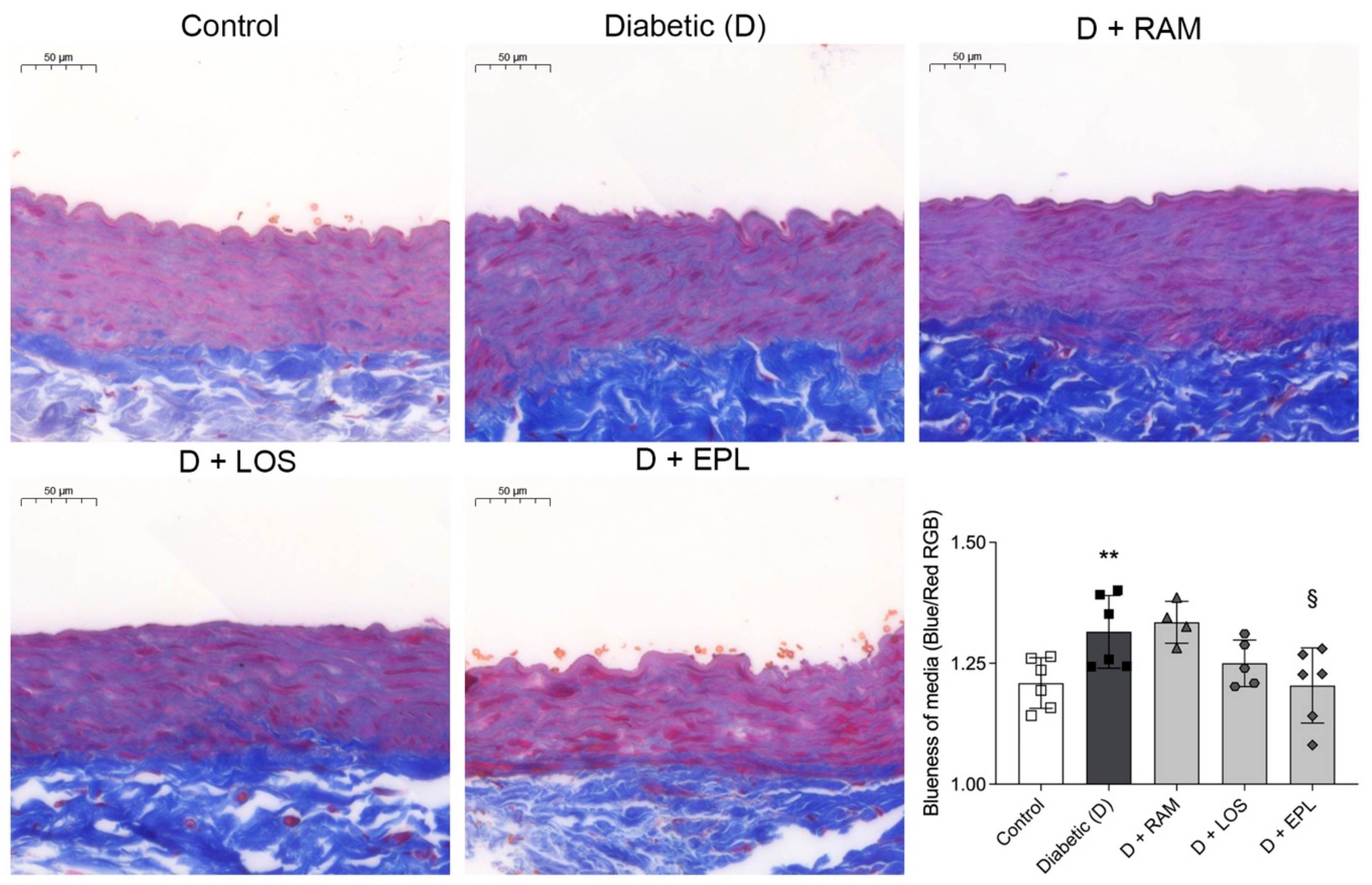 Ijms 24 17043 g003 Ijms 24 17043 g003