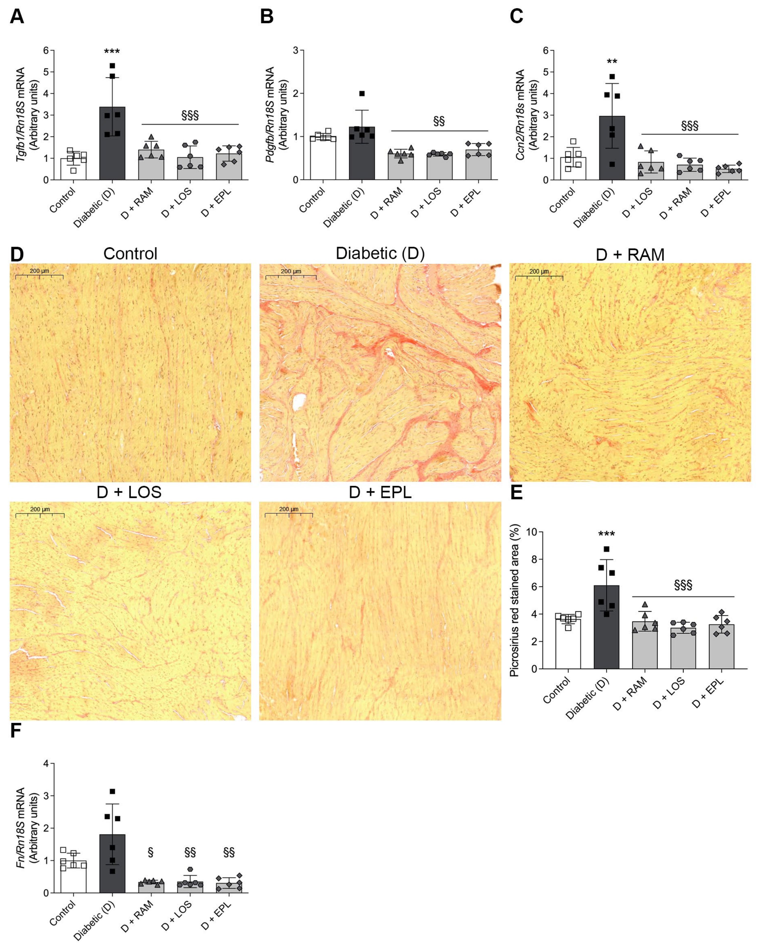 Ijms 24 17043 g004 Ijms 24 17043 g004