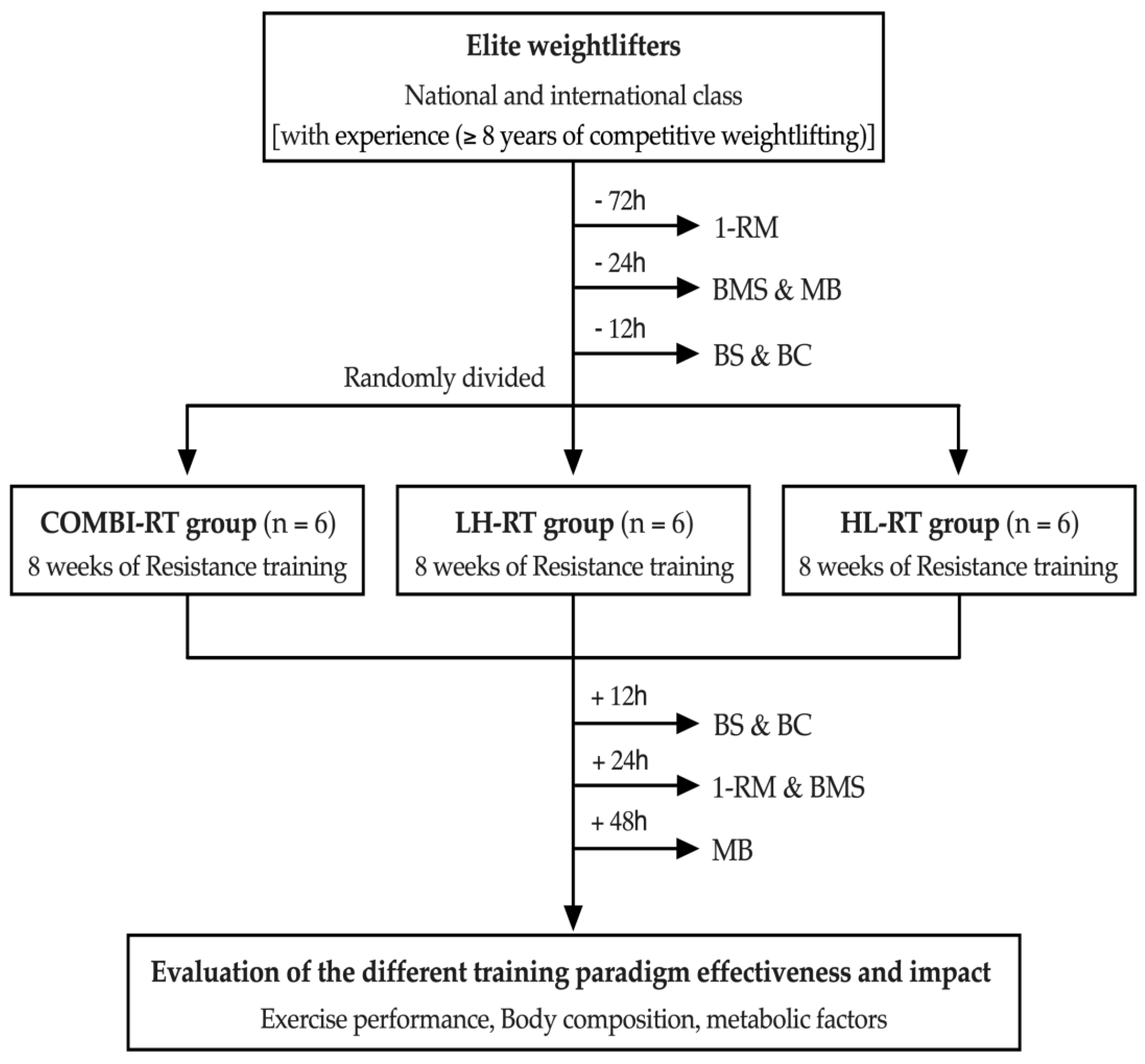 Ijms 24 17079 g005
