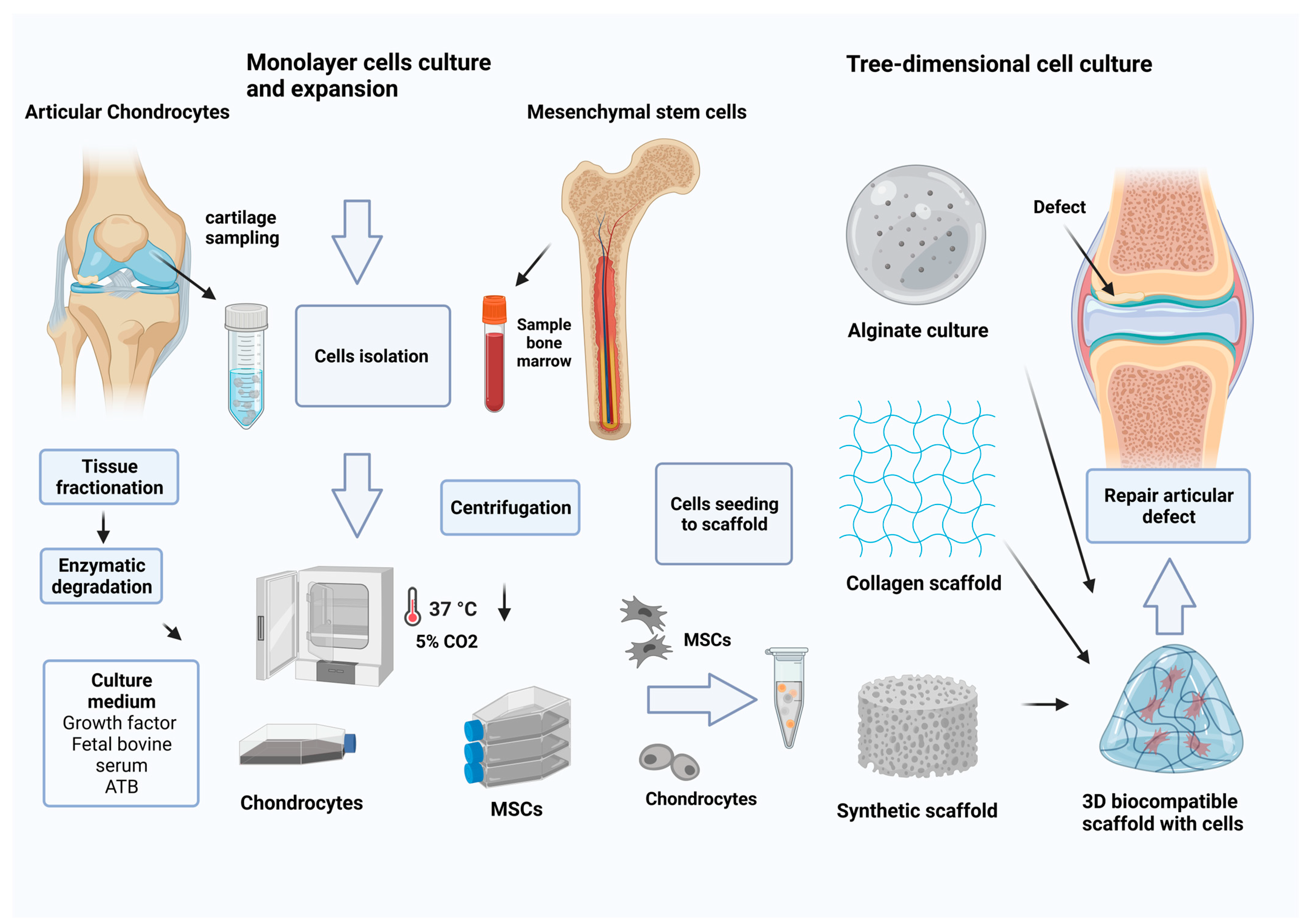 Ijms 24 17096 g003 Ijms 24 17096 g003