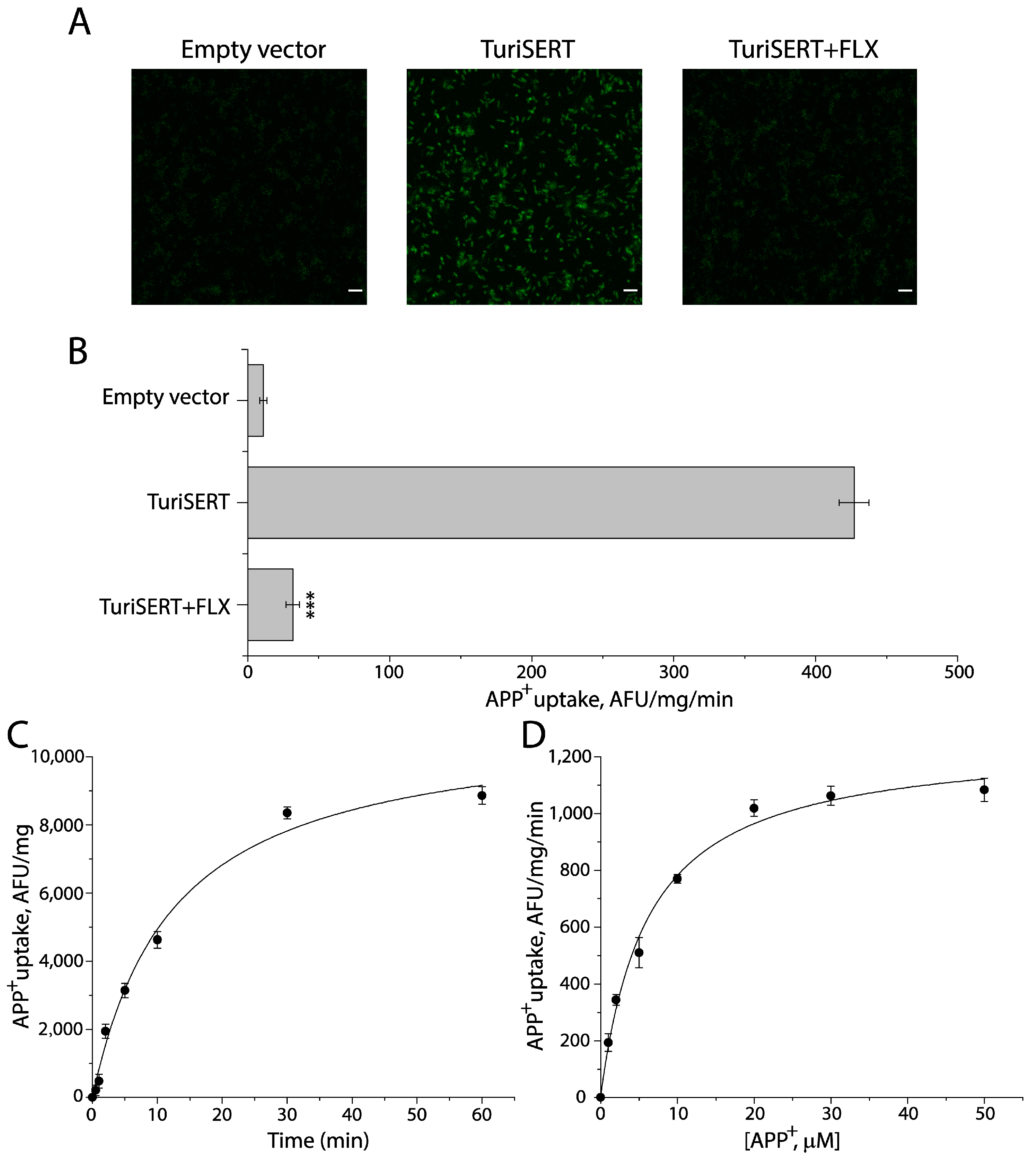Ijms 24 17112 g001 Ijms 24 17112 g001