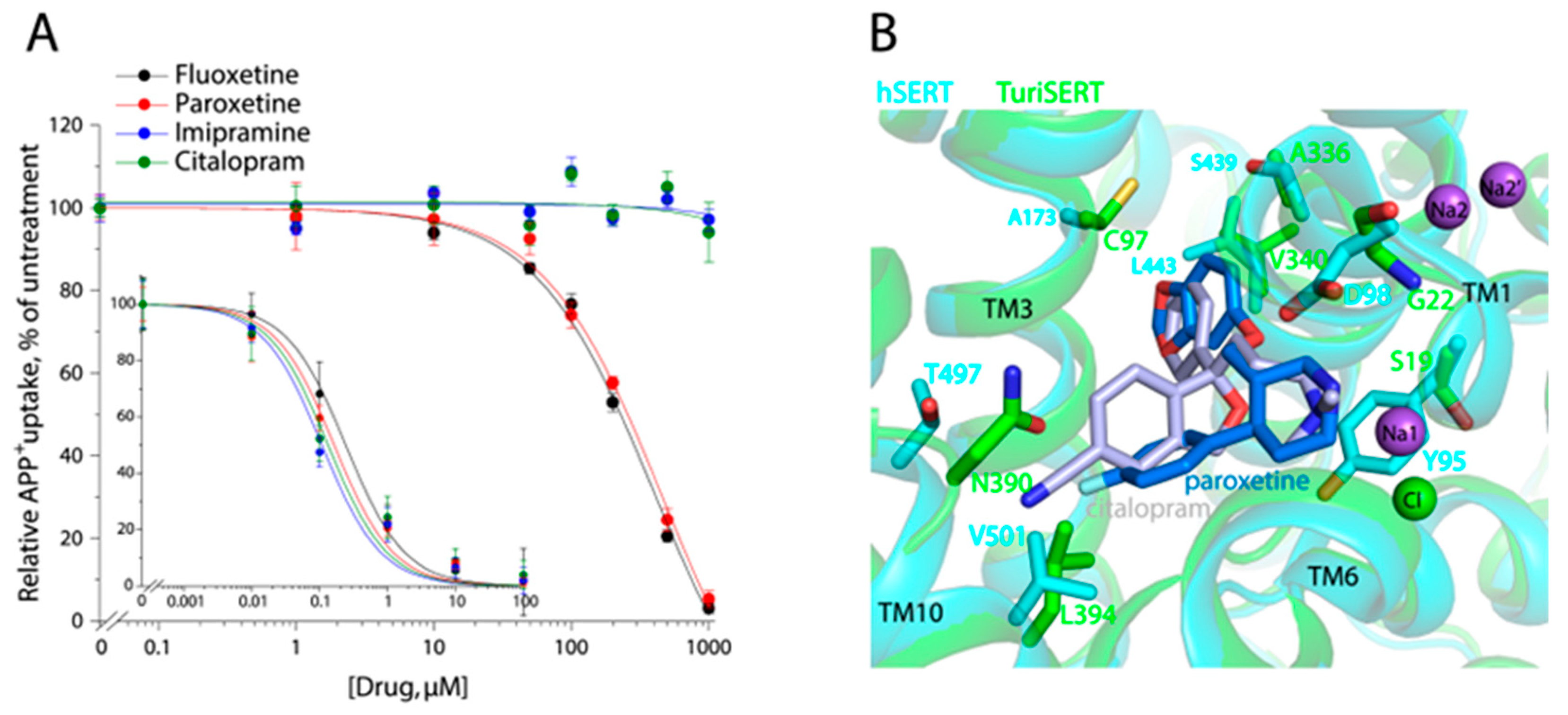 Ijms 24 17112 g006 Ijms 24 17112 g006