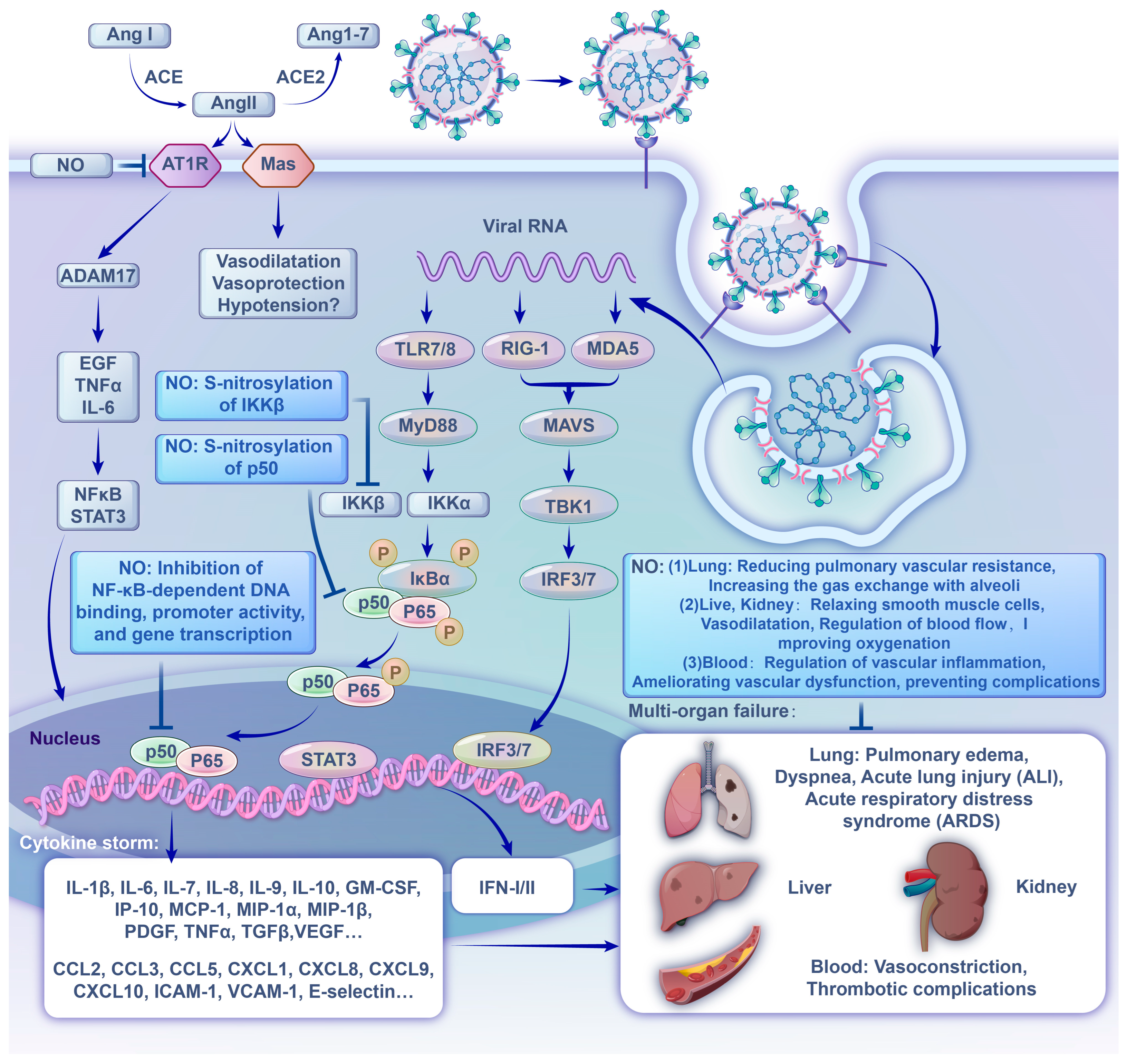 Ijms 24 17162 g002 Ijms 24 17162 g002