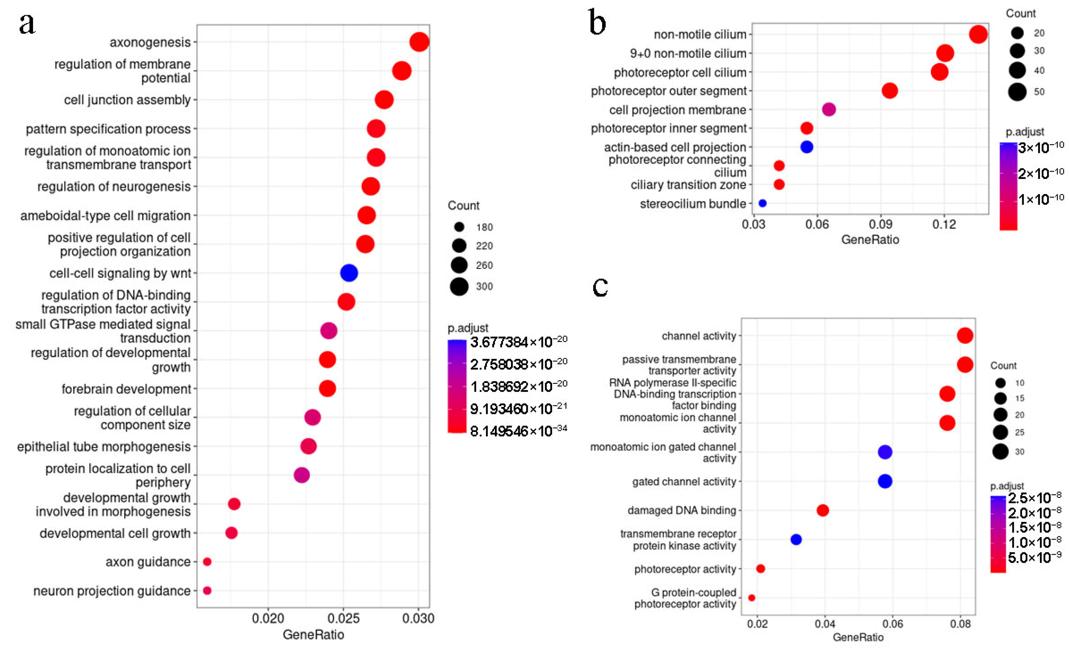 IJMS | Free Full-Text | Does Background Matter? A Comparative ...