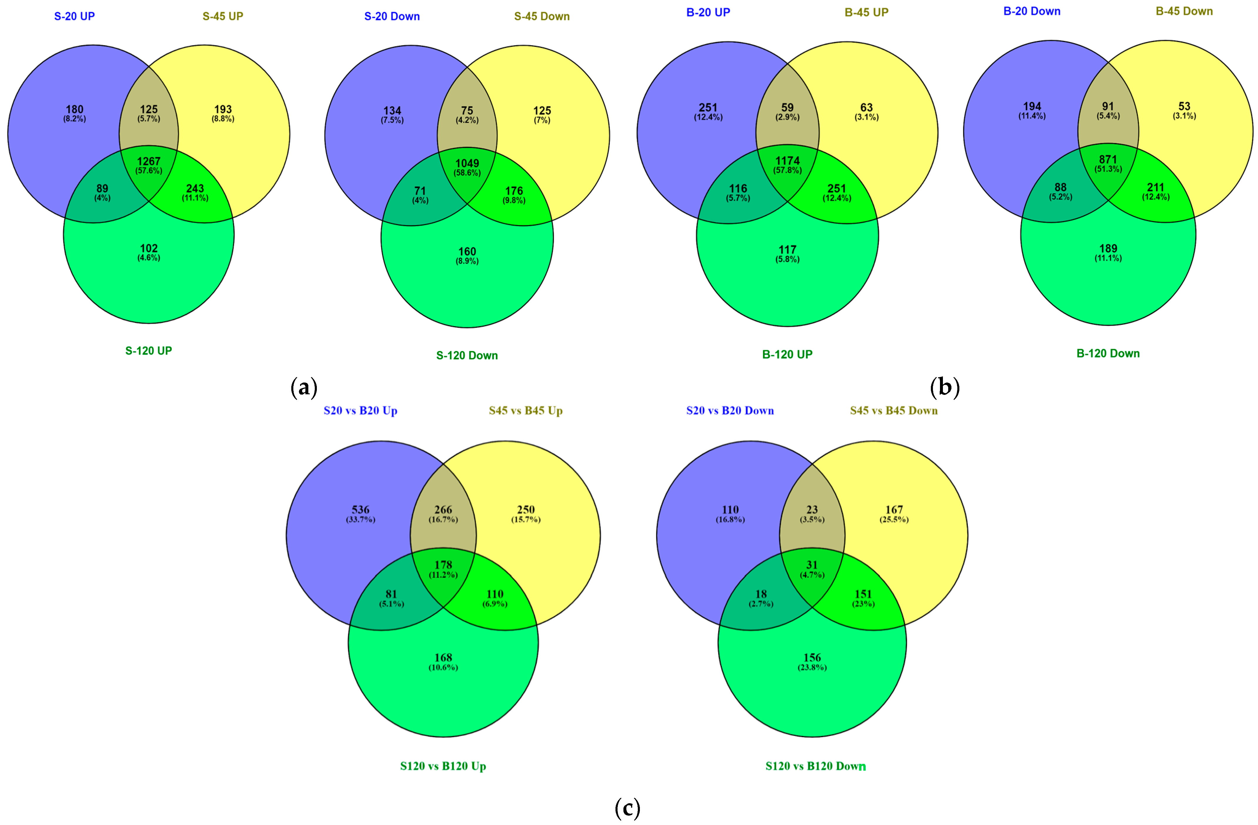 Ijms 24 17227 g003 Ijms 24 17227 g003